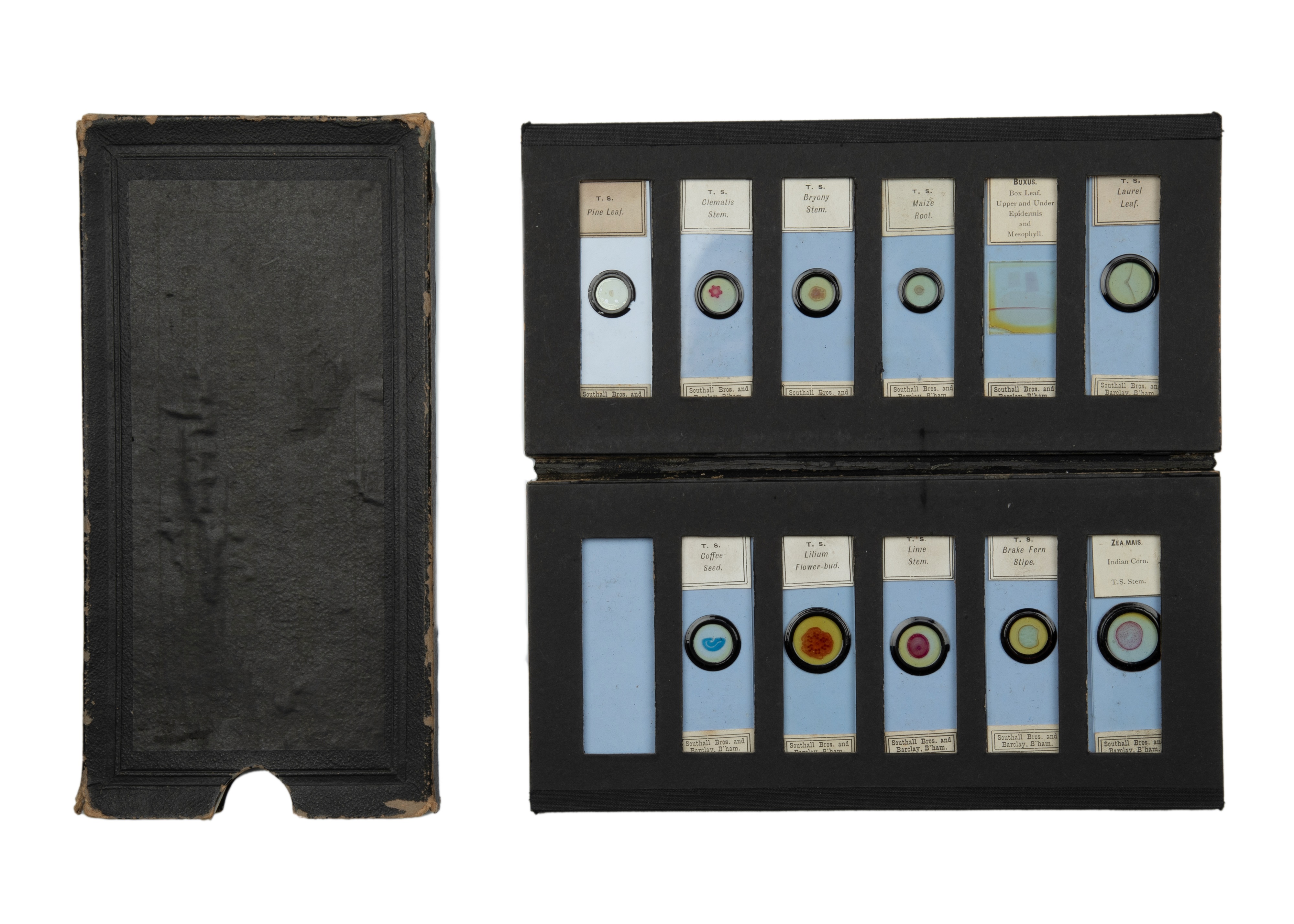 An Exceptional Single Owner Collection Of Victorian & Later Microscope Slides - Image 3 of 92