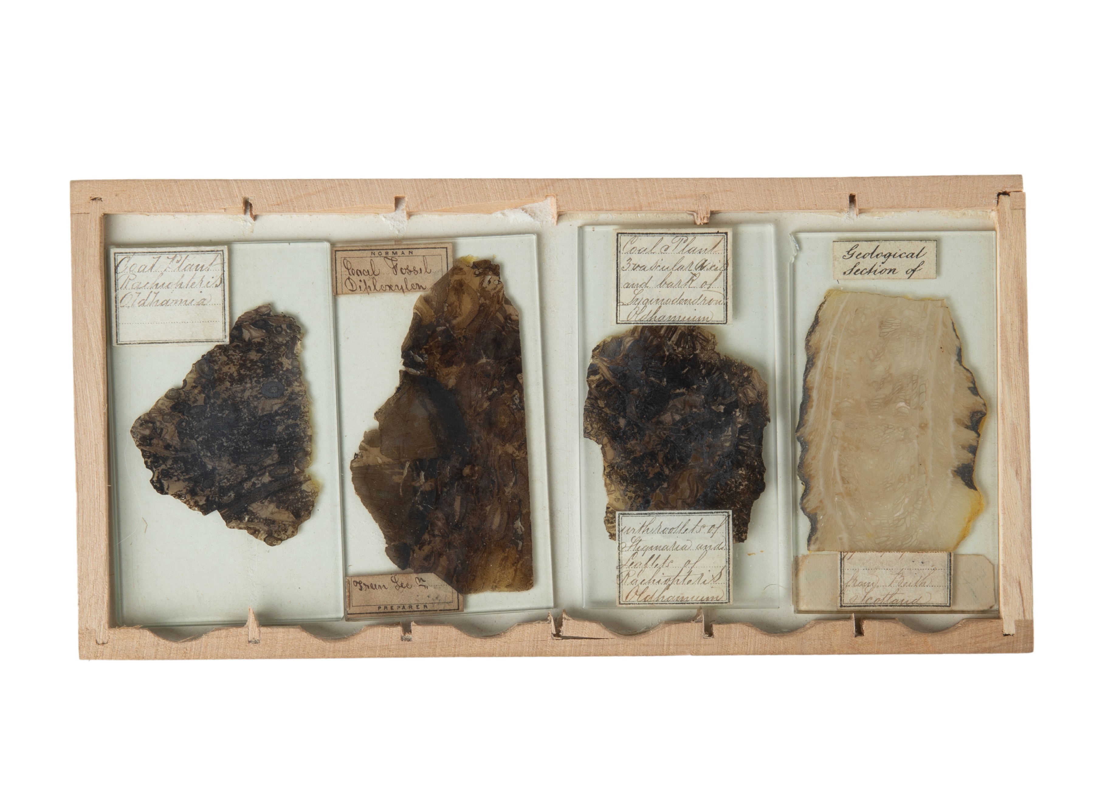 A Very Fine Collection of 76 19th Century Microscope Slides of Fossils, - Image 4 of 14