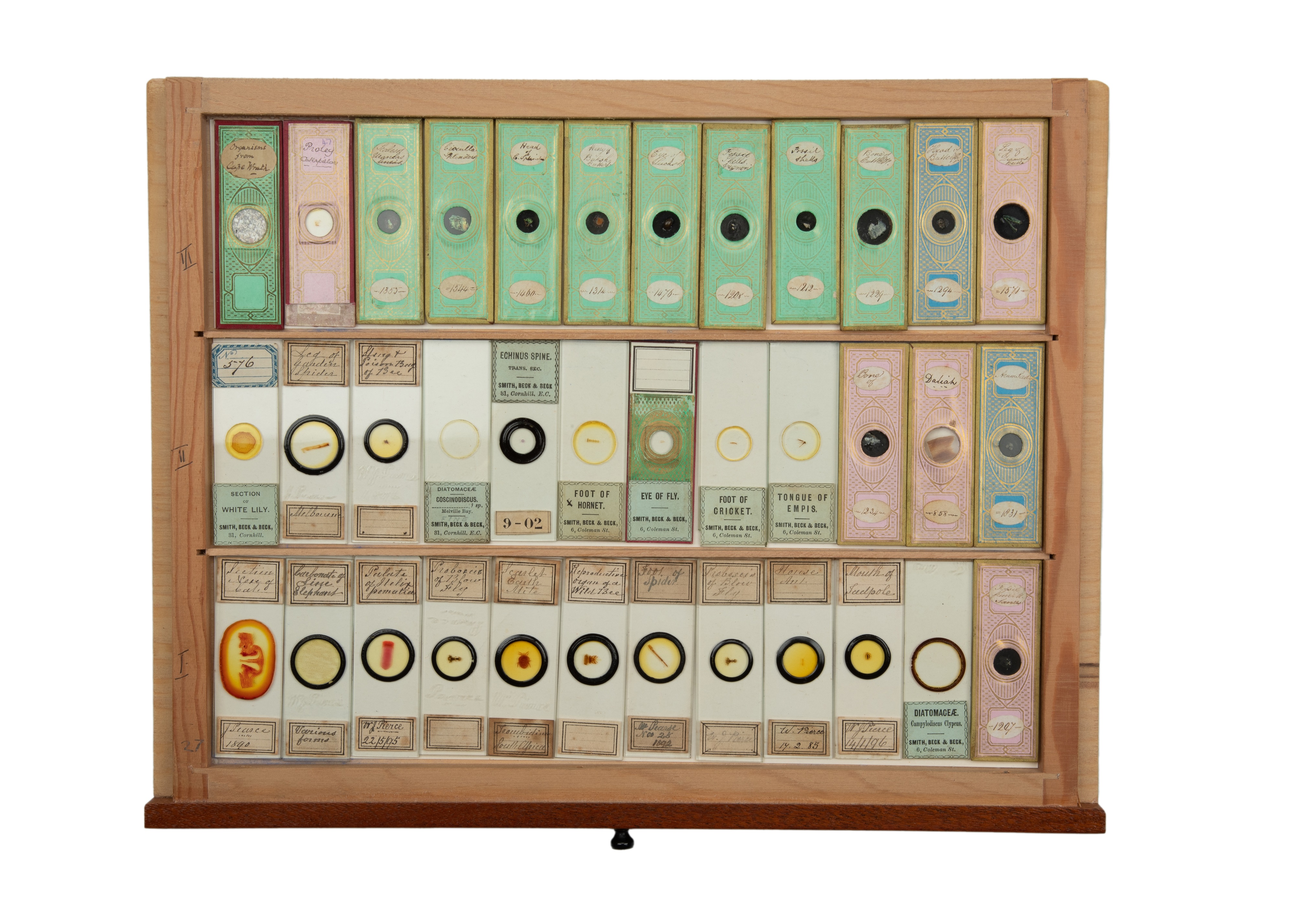 An Exceptional Single Owner Collection Of Victorian & Later Microscope Slides - Image 76 of 92