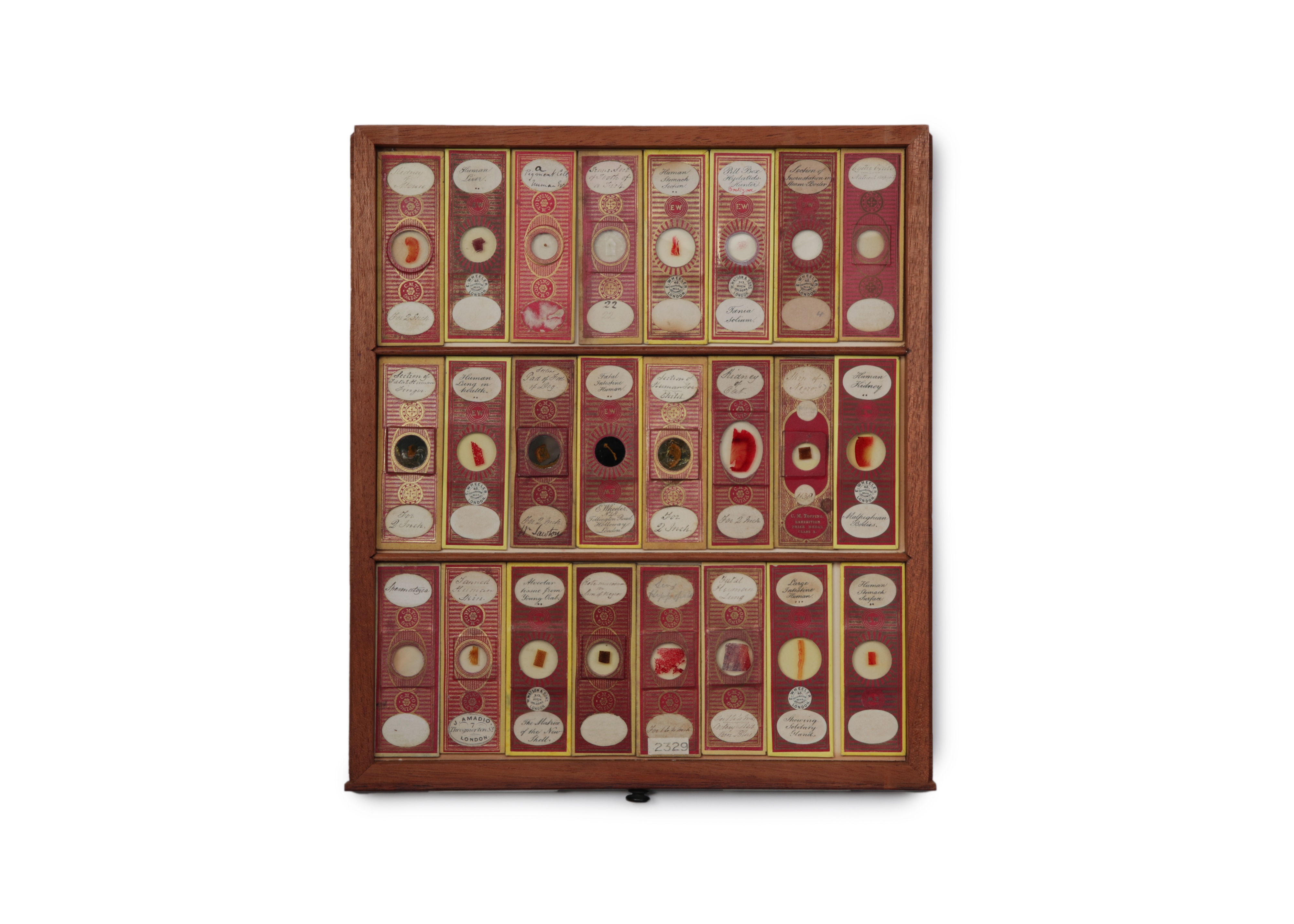 A Large Victorian Cabinet of Microscope Slides, - Image 5 of 20