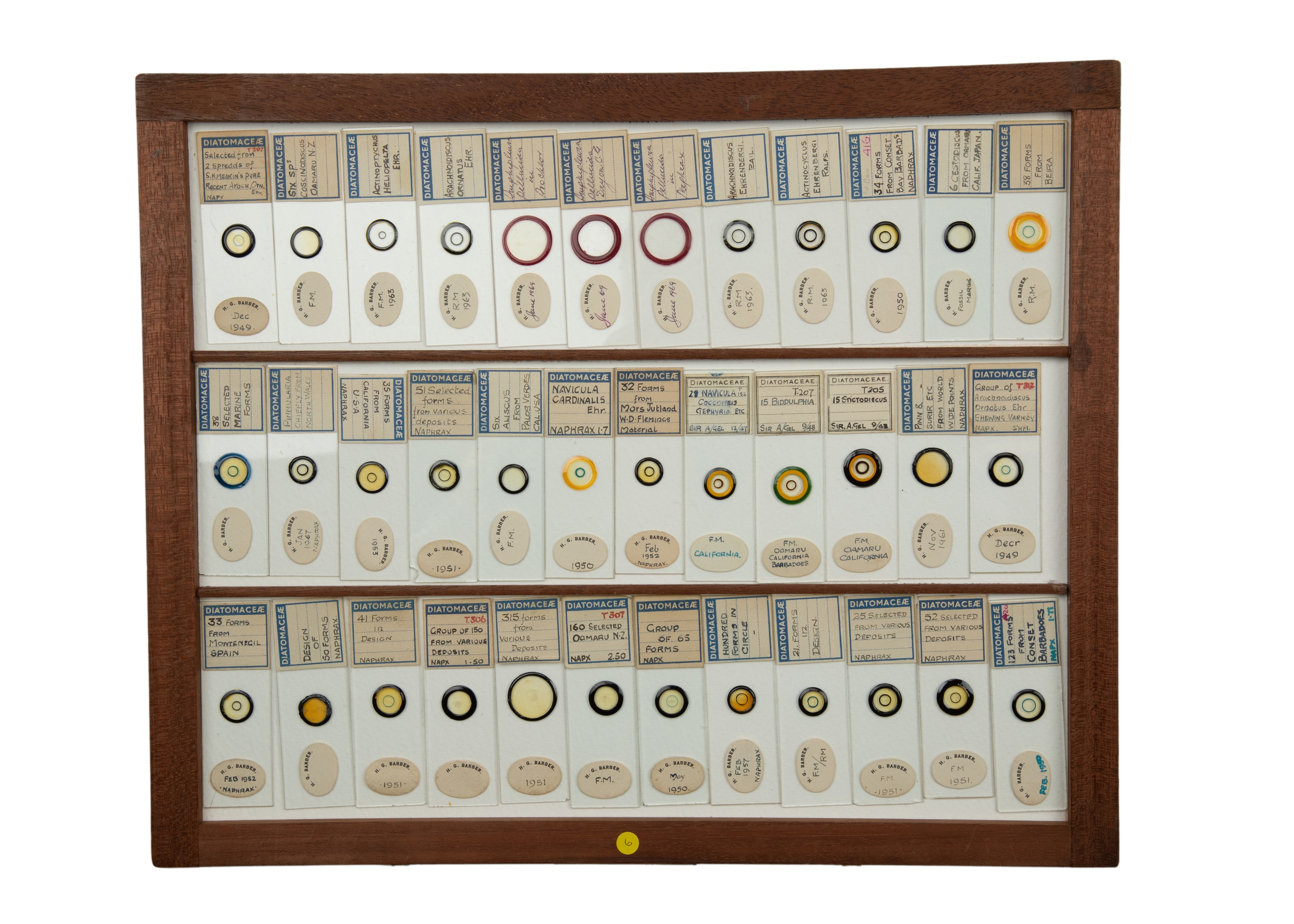 An Exceptional Single Owner Collection Of Victorian & Later Microscope Slides - Image 46 of 92