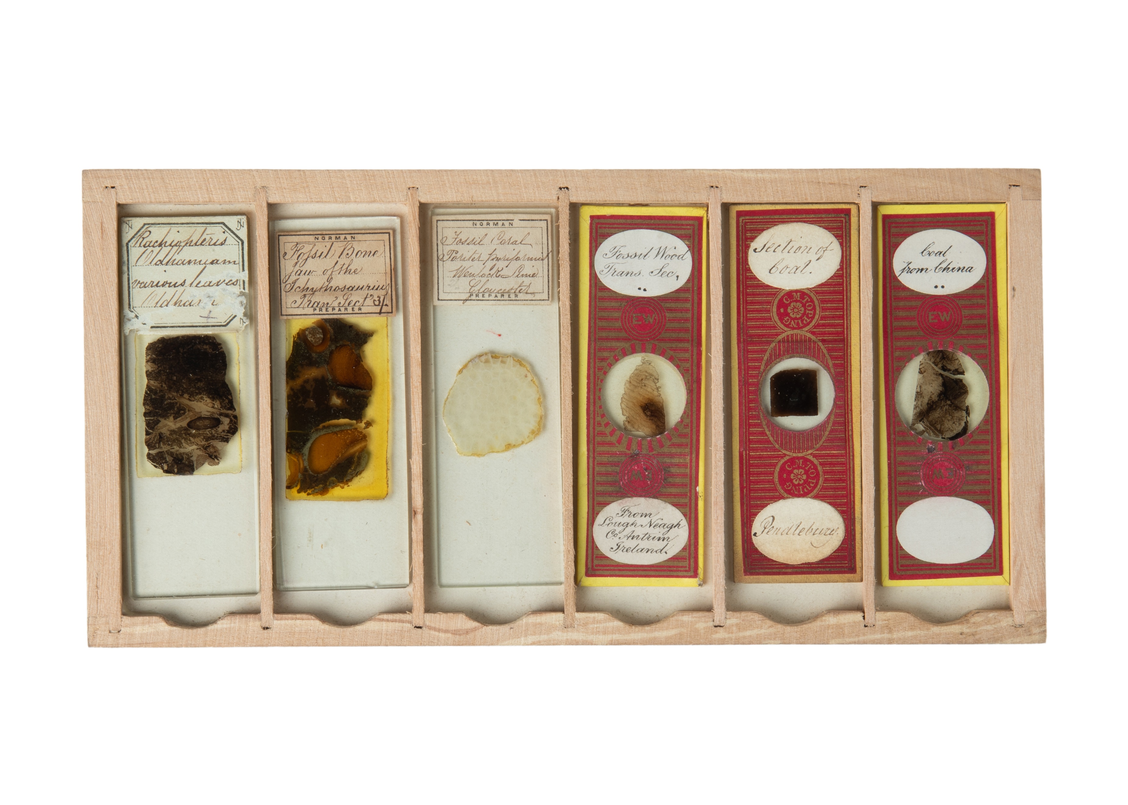 A Very Fine Collection of 76 19th Century Microscope Slides of Fossils, - Image 5 of 14