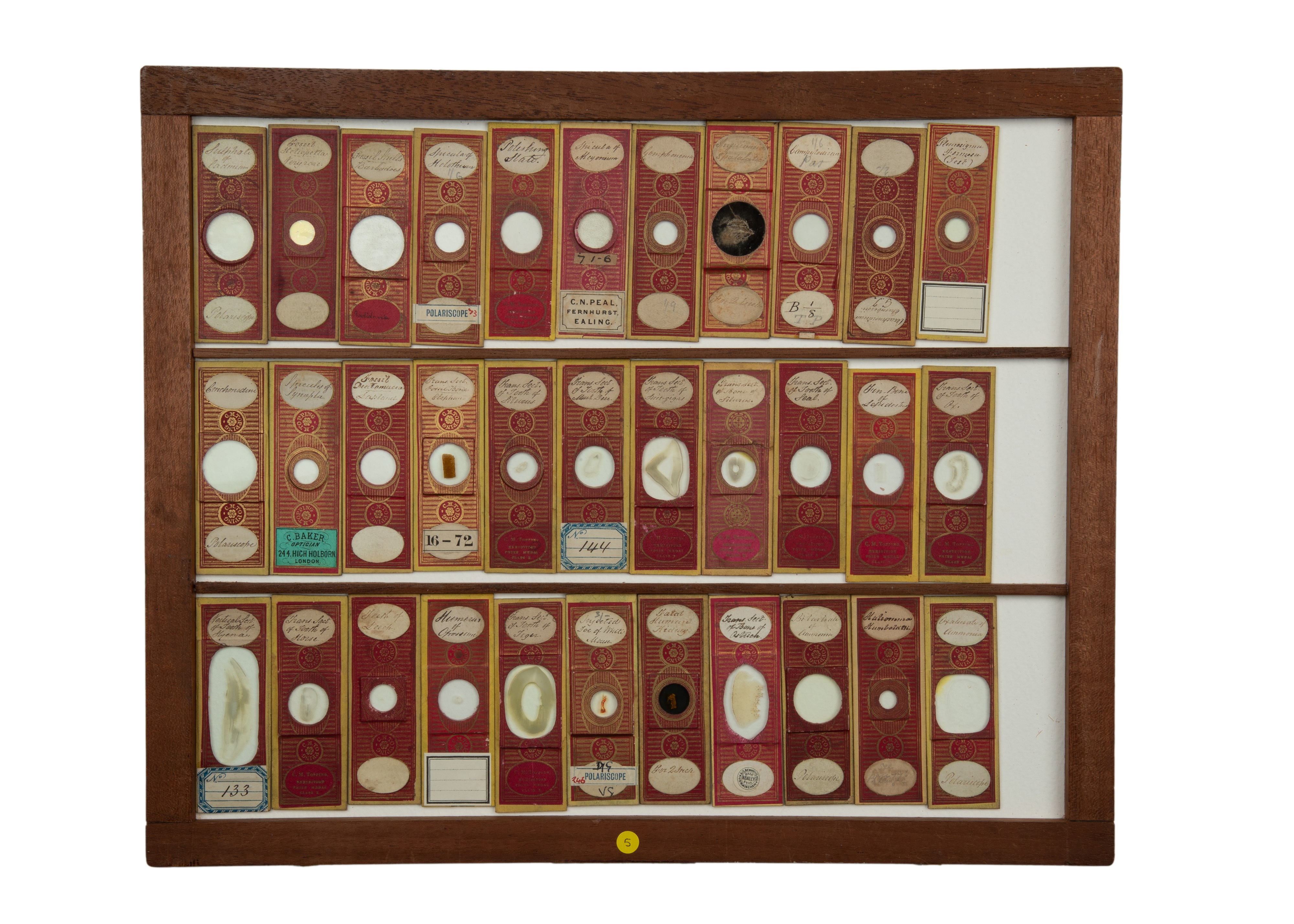 An Exceptional Single Owner Collection Of Victorian & Later Microscope Slides - Image 61 of 92