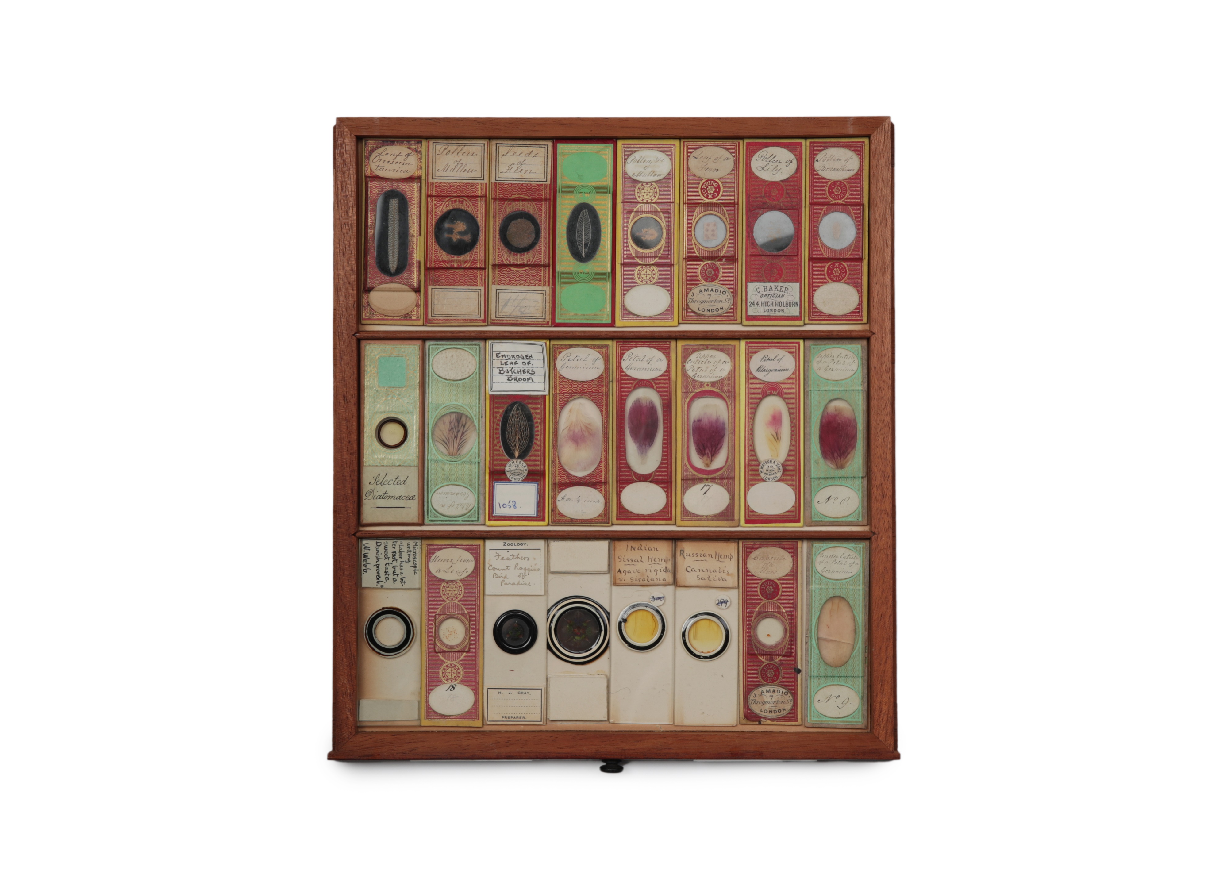 A Large Victorian Cabinet of Microscope Slides, - Image 14 of 20