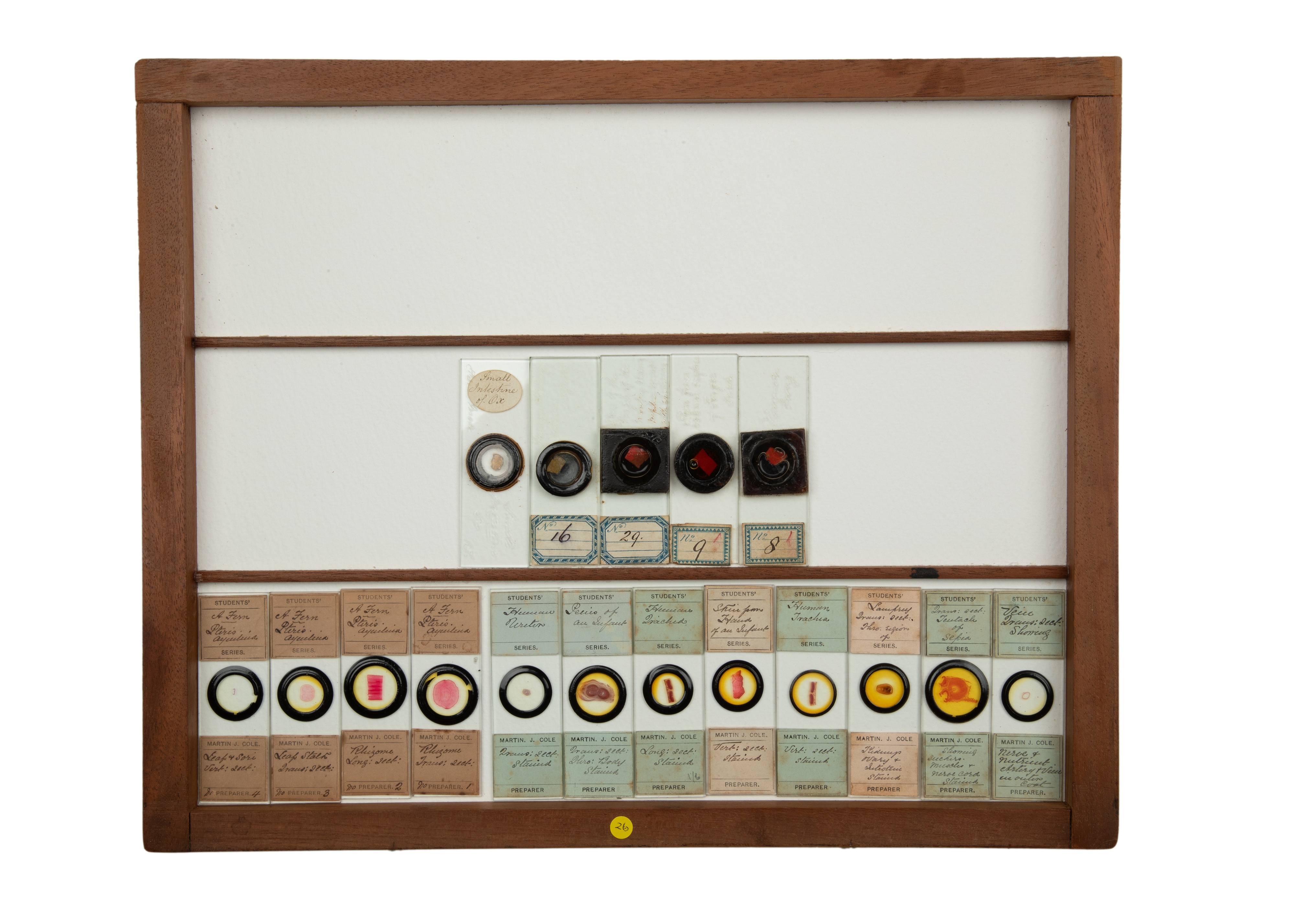 An Exceptional Single Owner Collection Of Victorian & Later Microscope Slides - Image 27 of 92