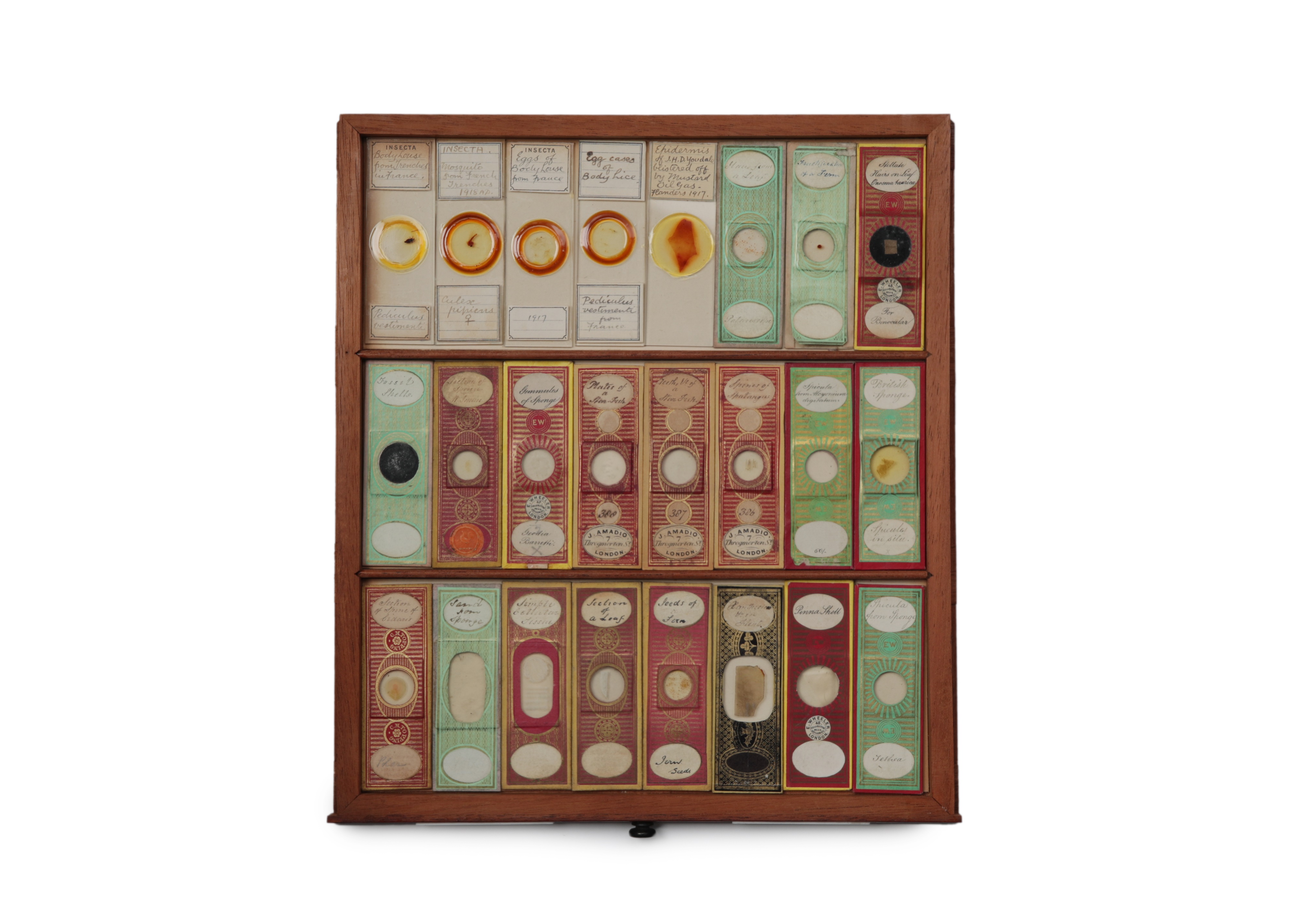 A Large Victorian Cabinet of Microscope Slides, - Image 17 of 20