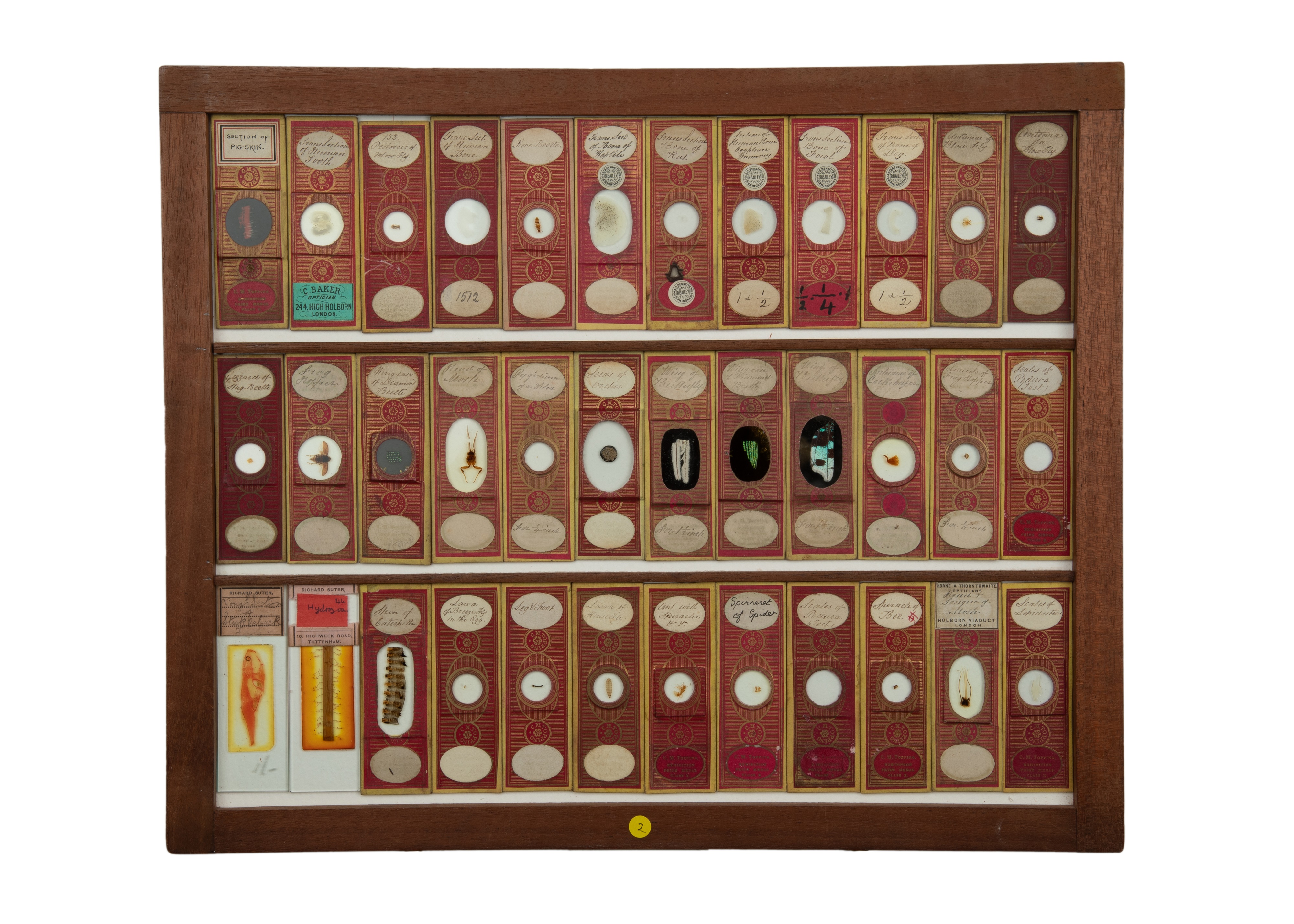 An Exceptional Single Owner Collection Of Victorian & Later Microscope Slides - Image 77 of 92