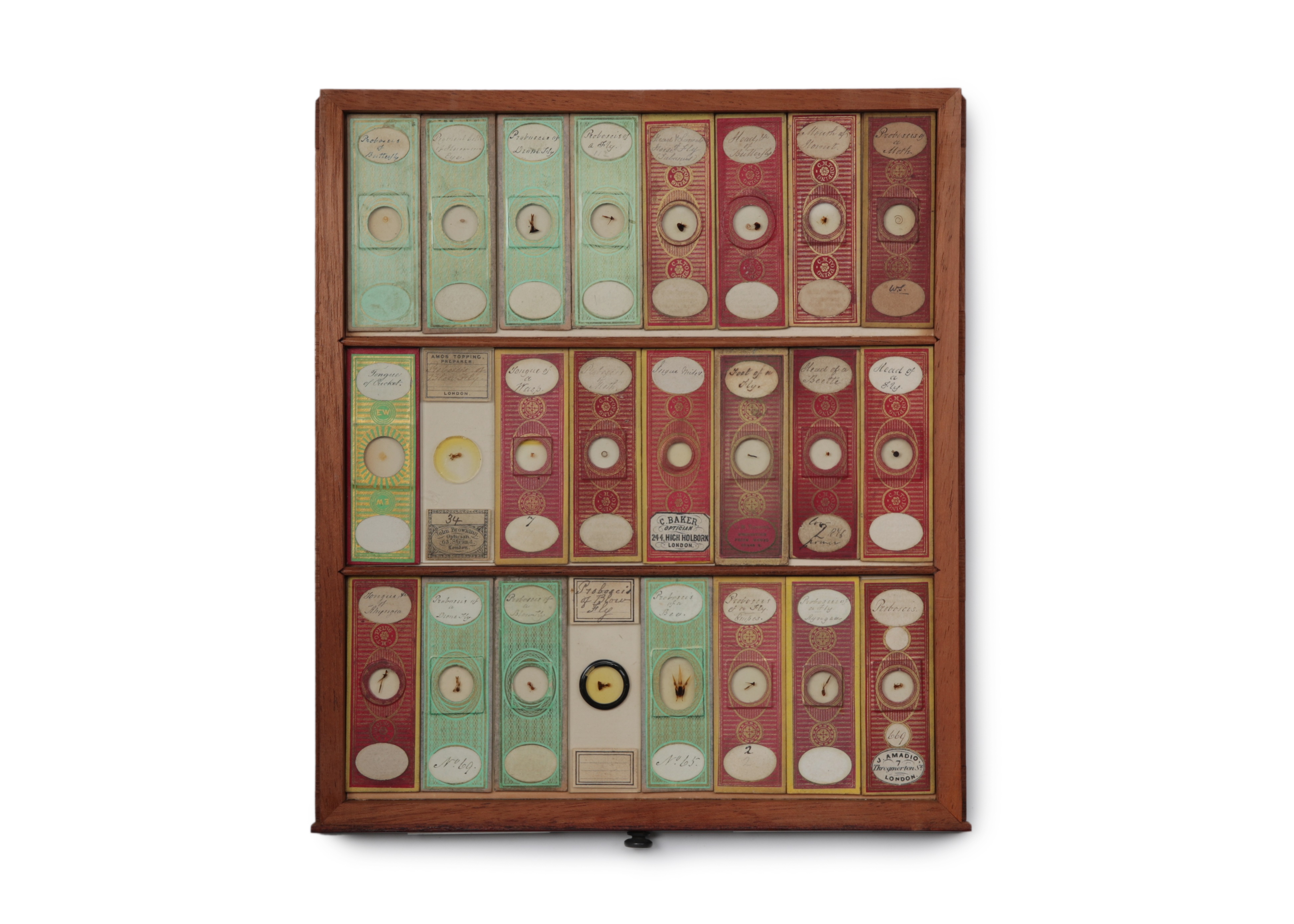 A Large Victorian Cabinet of Microscope Slides, - Image 19 of 20