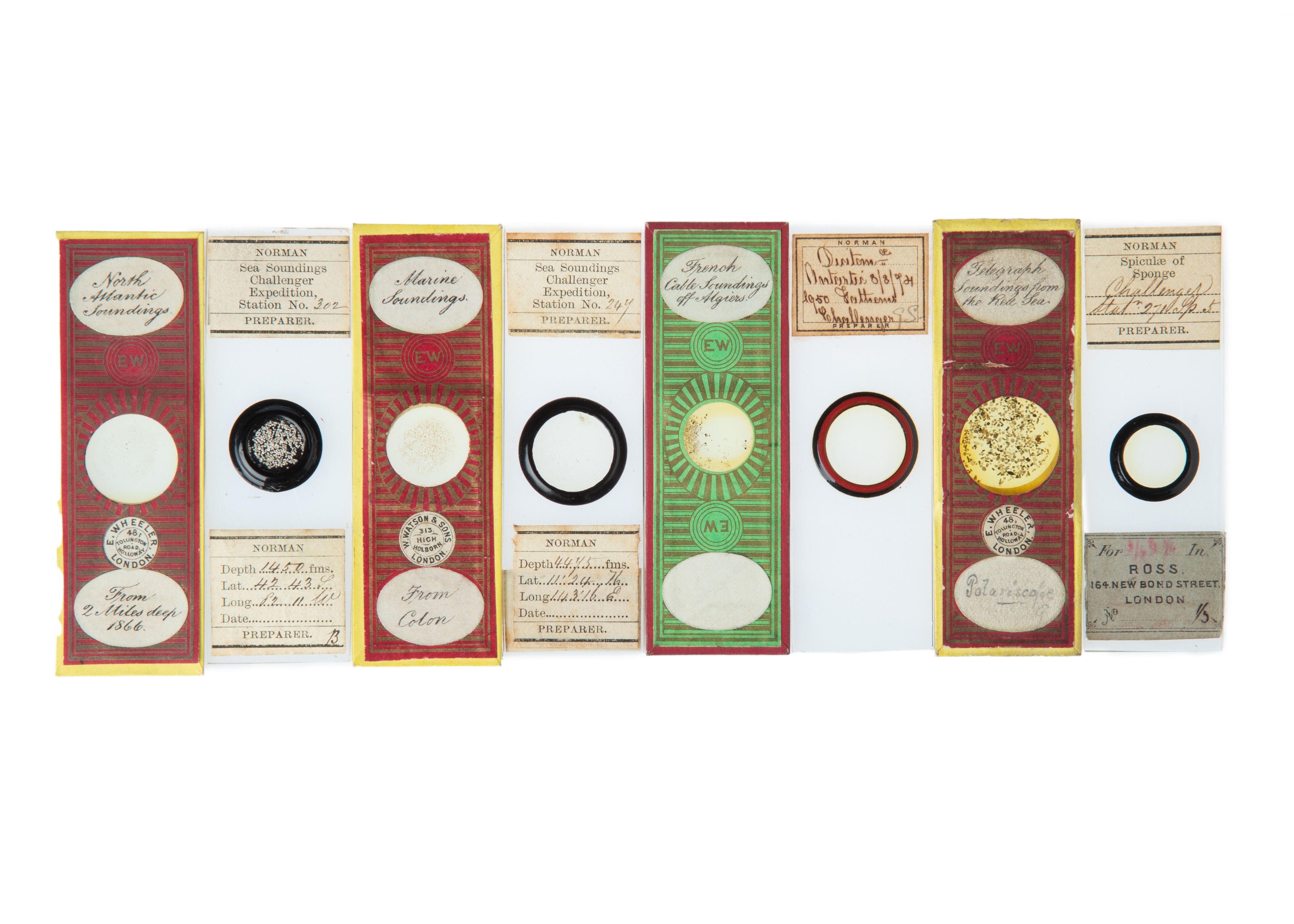 A Collection of 12 Challenger Expedition Microscope Slides,