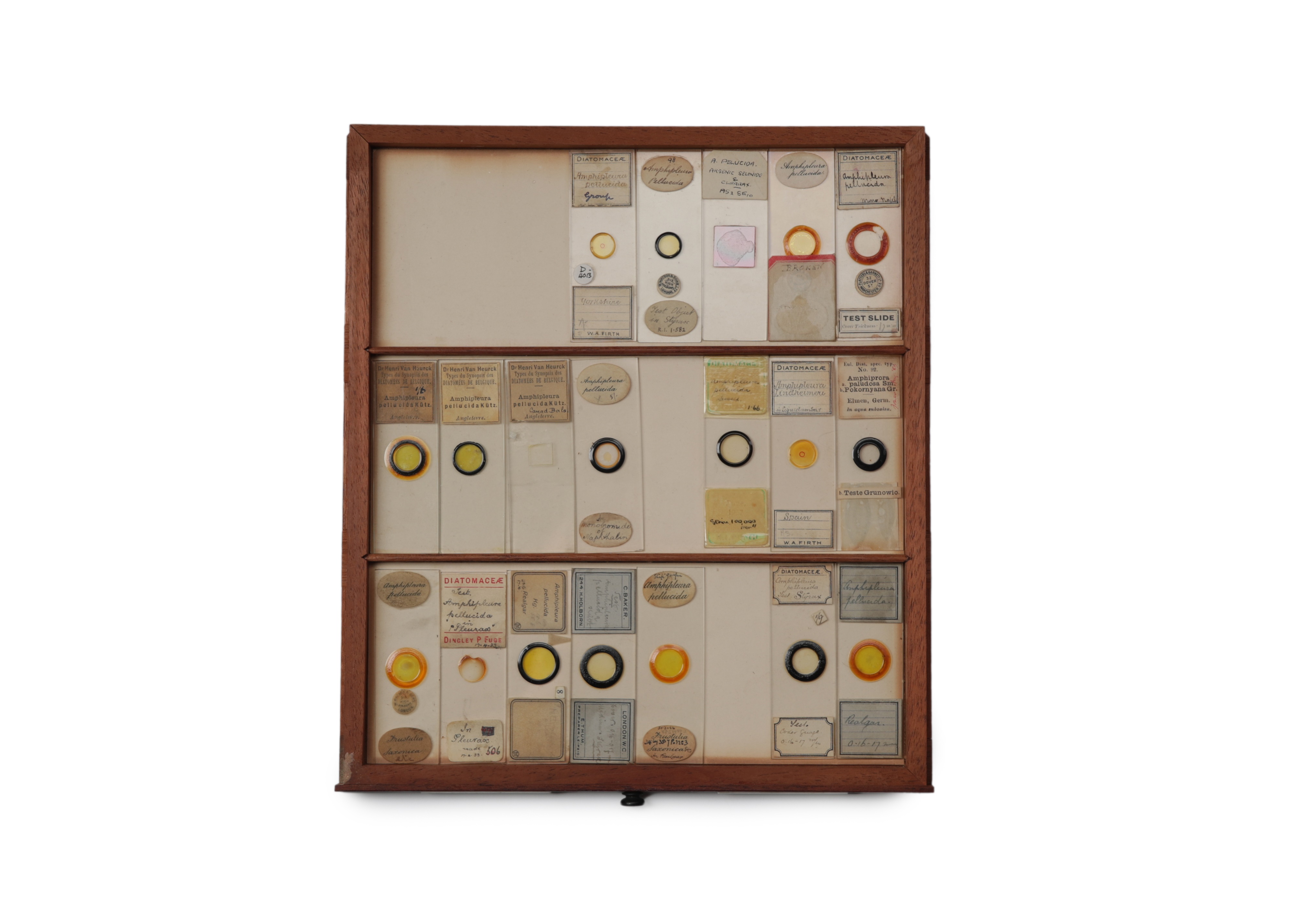 A Large Victorian Cabinet of Microscope Slides, - Image 3 of 20