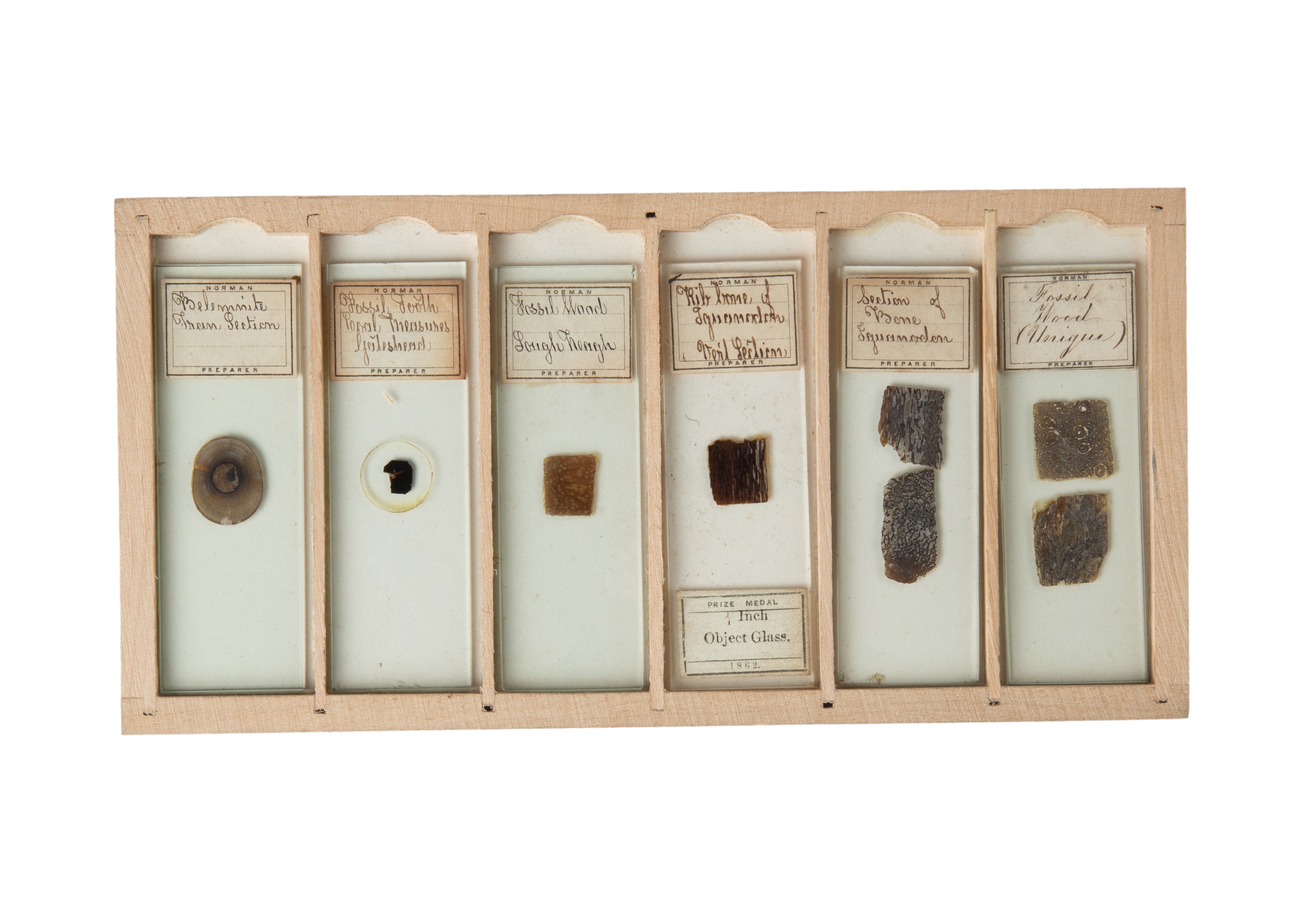 A Very Fine Collection of 76 19th Century Microscope Slides of Fossils, - Image 3 of 14