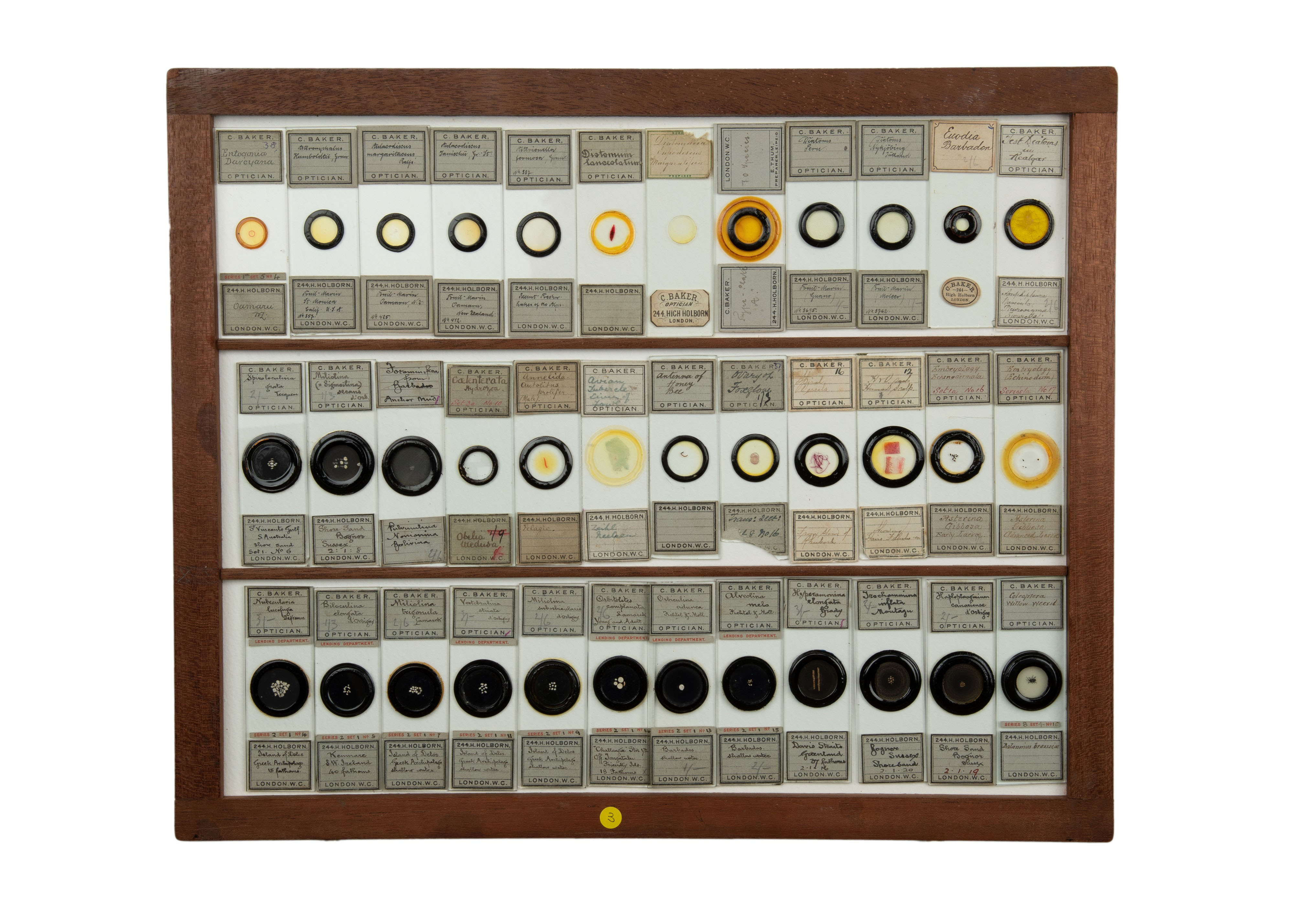 An Exceptional Single Owner Collection Of Victorian & Later Microscope Slides - Image 45 of 92