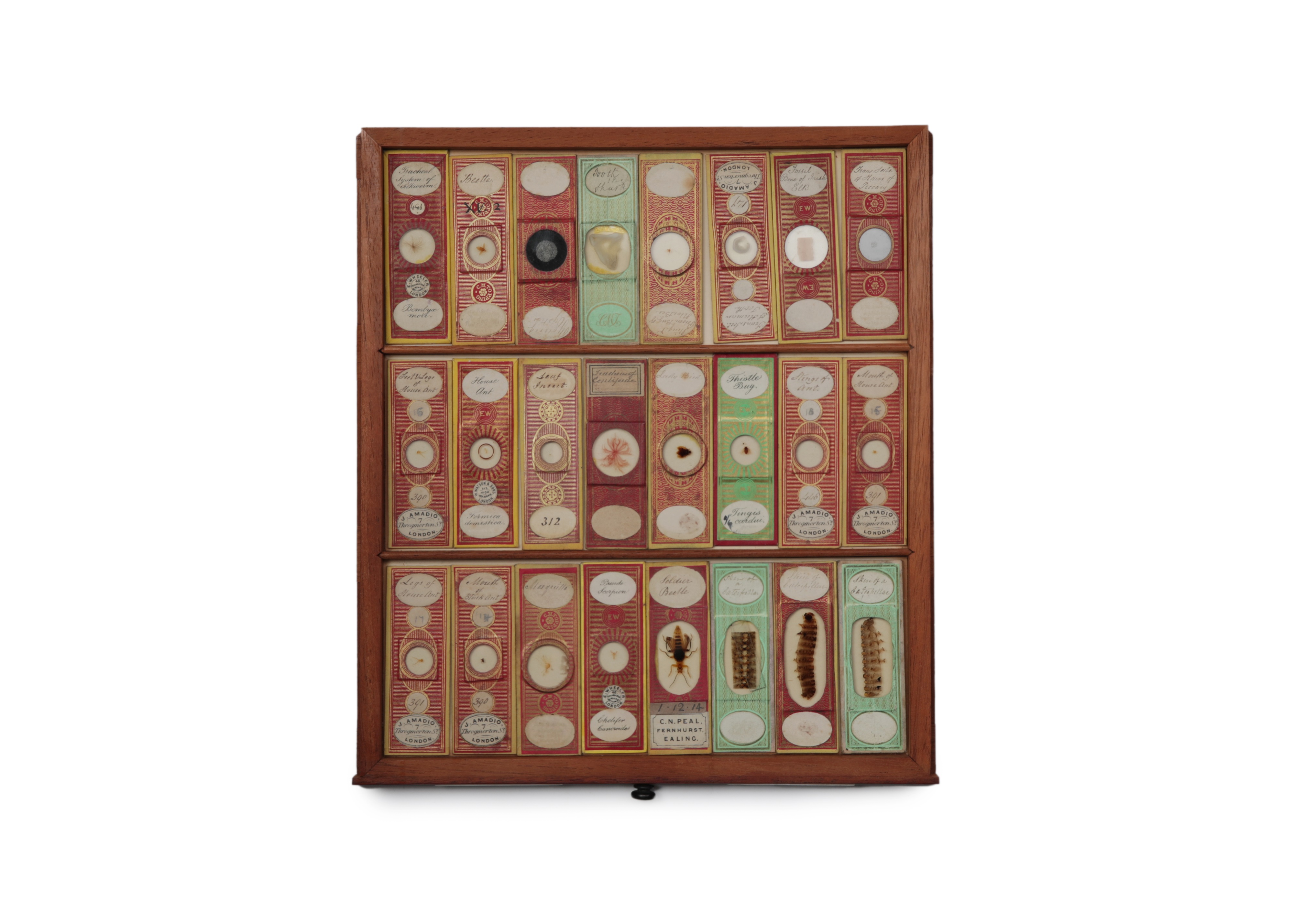 A Large Victorian Cabinet of Microscope Slides, - Image 12 of 20