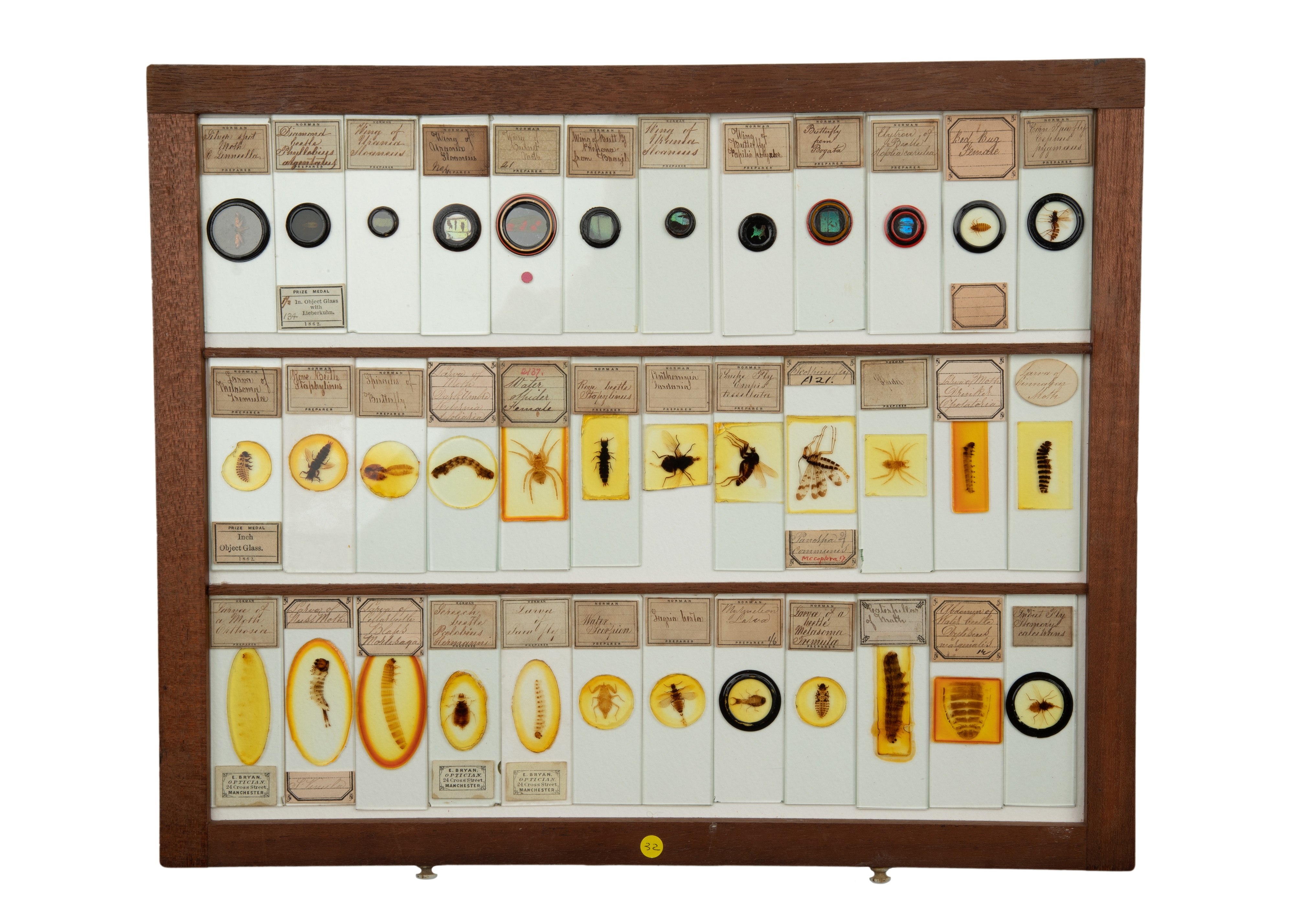 An Exceptional Single Owner Collection Of Victorian & Later Microscope Slides - Image 29 of 92