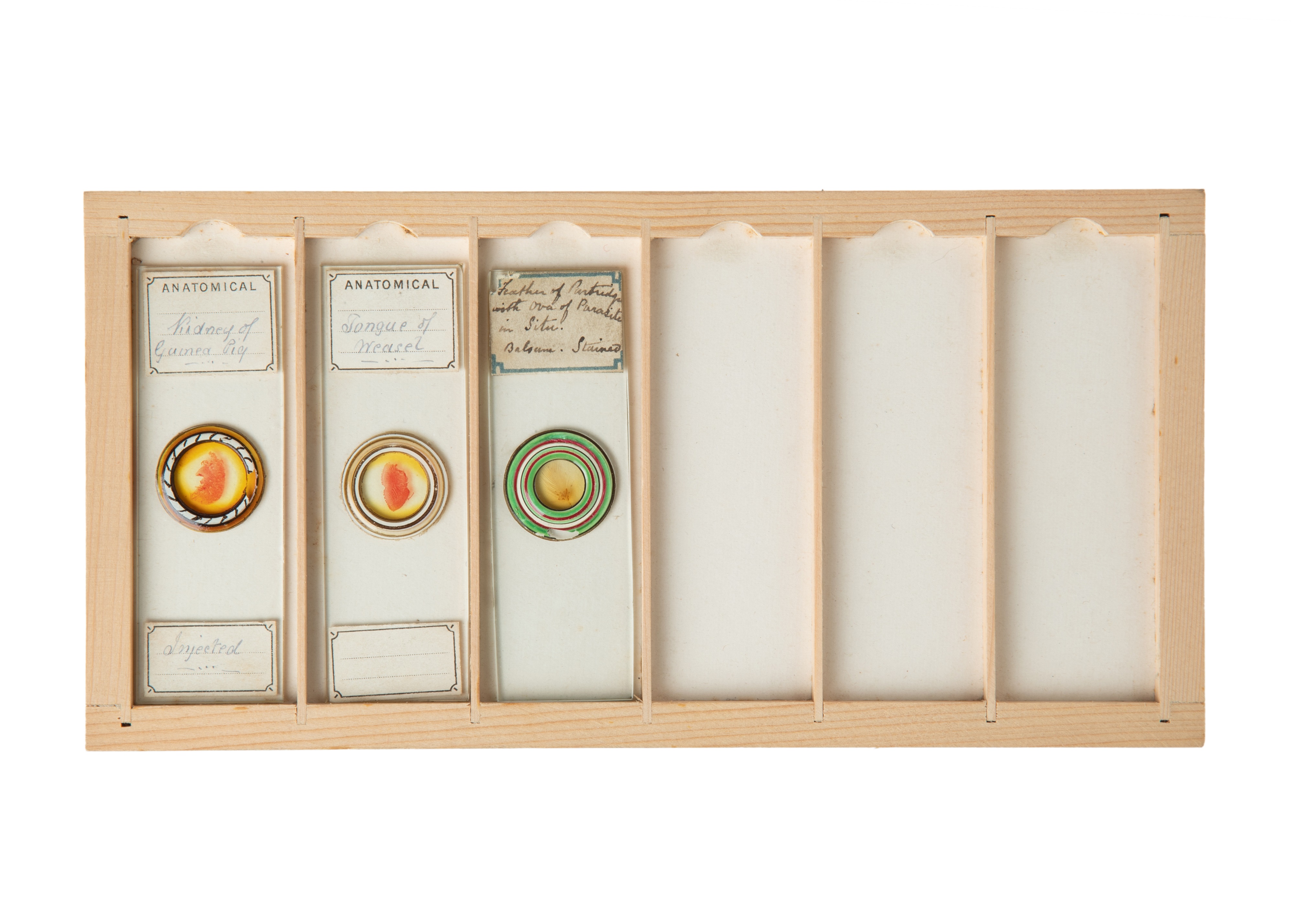 A Fine Set of Delicately Mounted Microscope Slides By James Neville, - Image 9 of 9