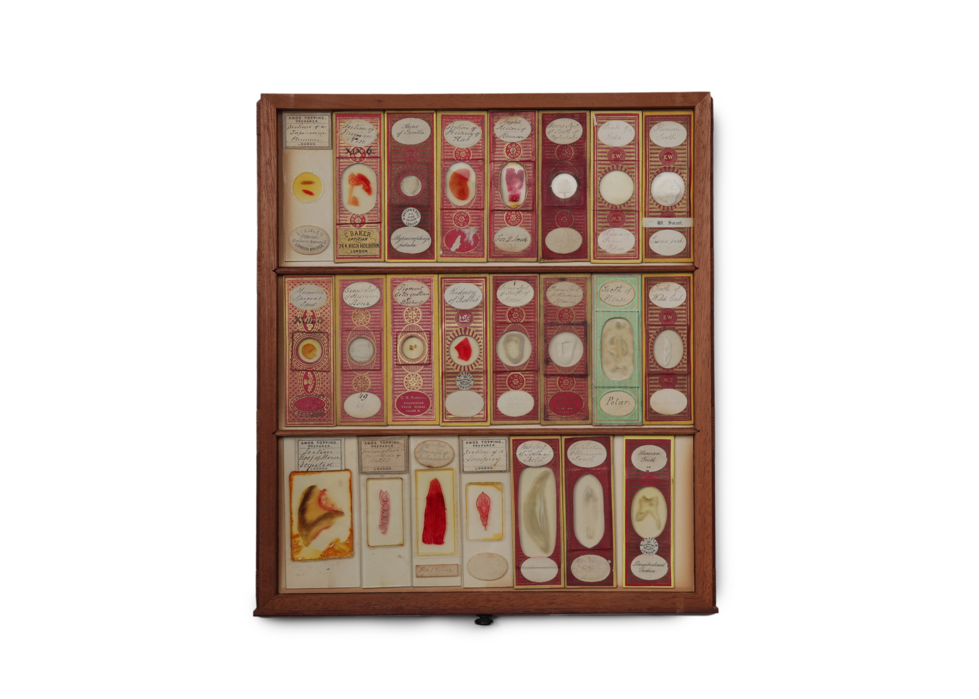 A Large Victorian Cabinet of Microscope Slides, - Image 18 of 20