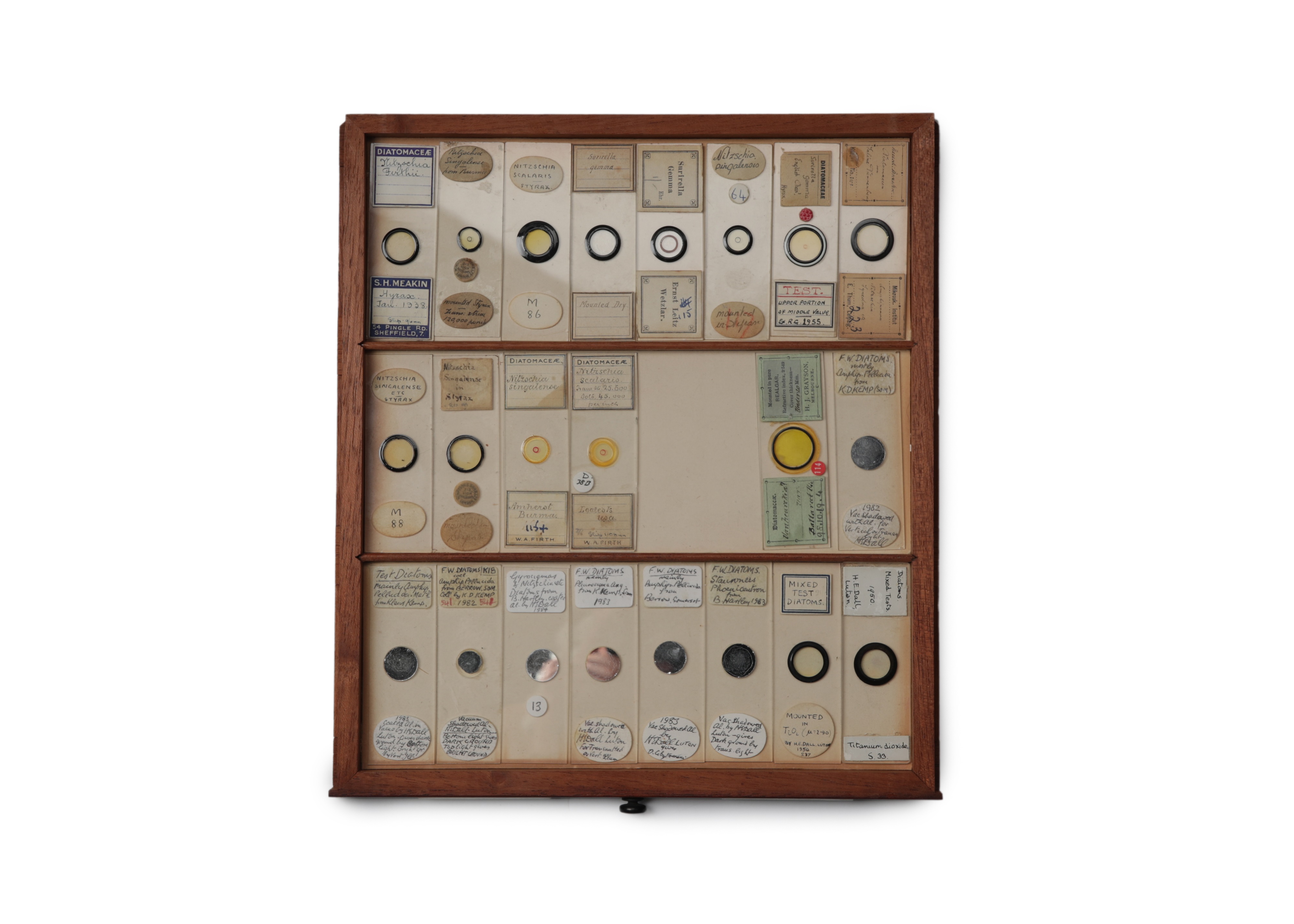 A Large Victorian Cabinet of Microscope Slides, - Image 20 of 20