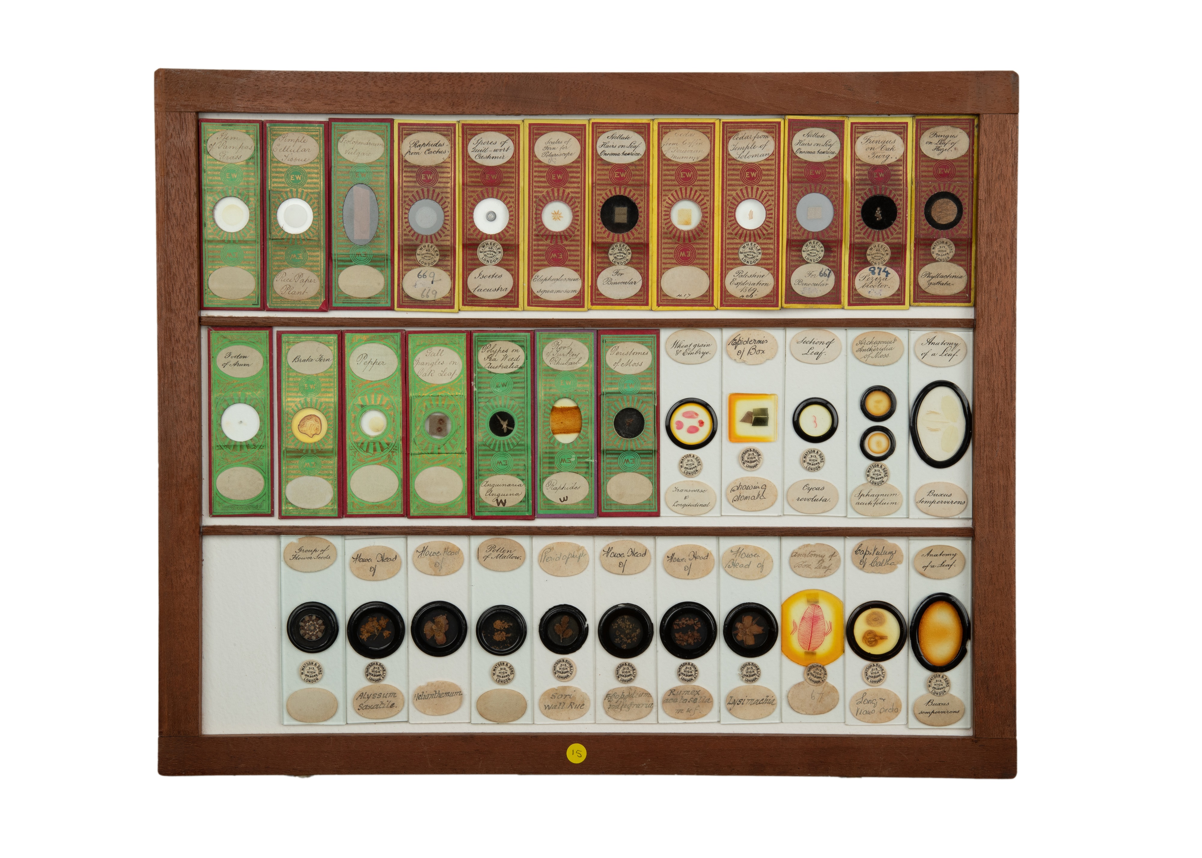 An Exceptional Single Owner Collection Of Victorian & Later Microscope Slides - Image 59 of 92