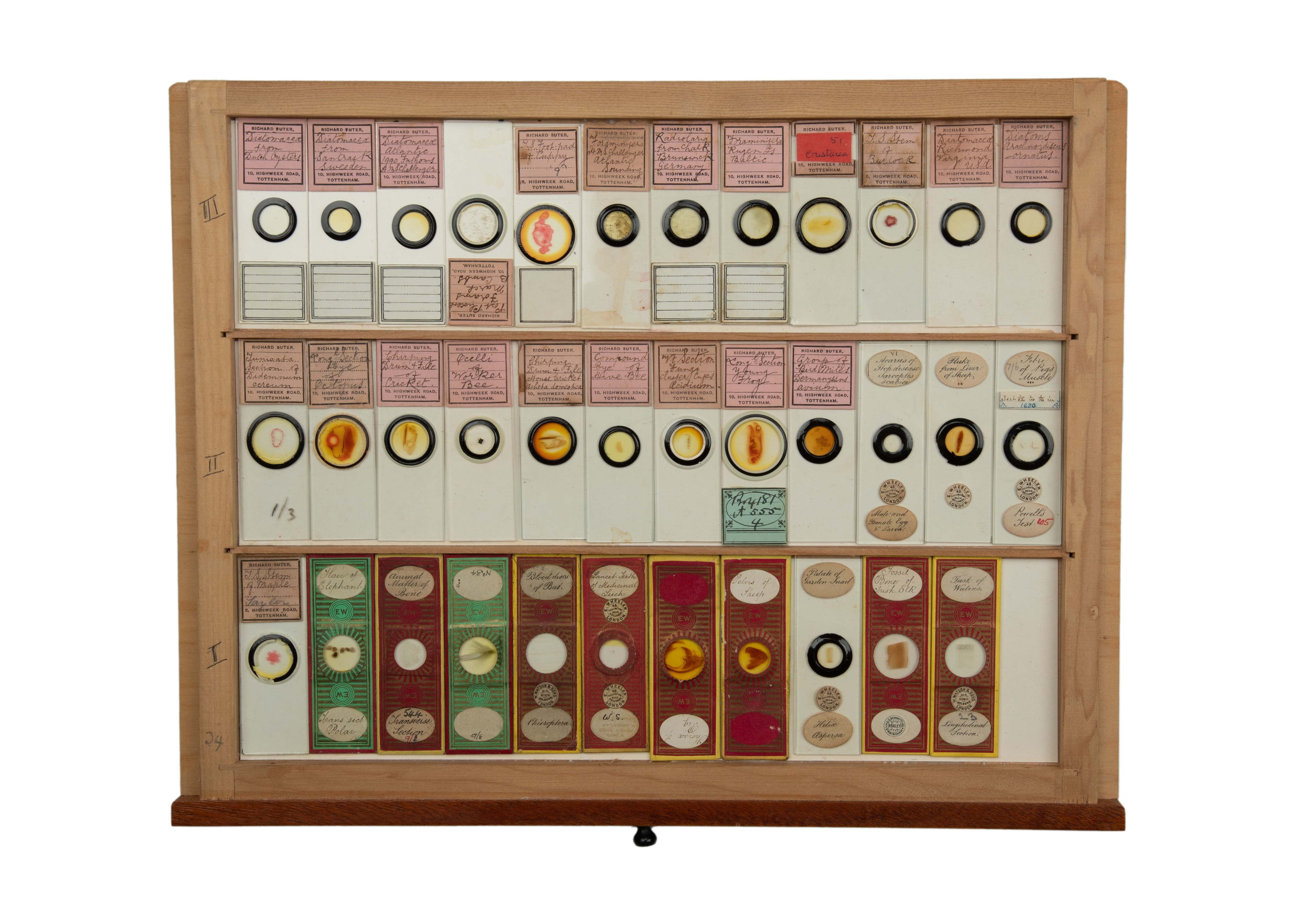 An Exceptional Single Owner Collection Of Victorian & Later Microscope Slides - Image 78 of 92