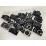 A Large Selection of 35mm SLR Camera Bodies,