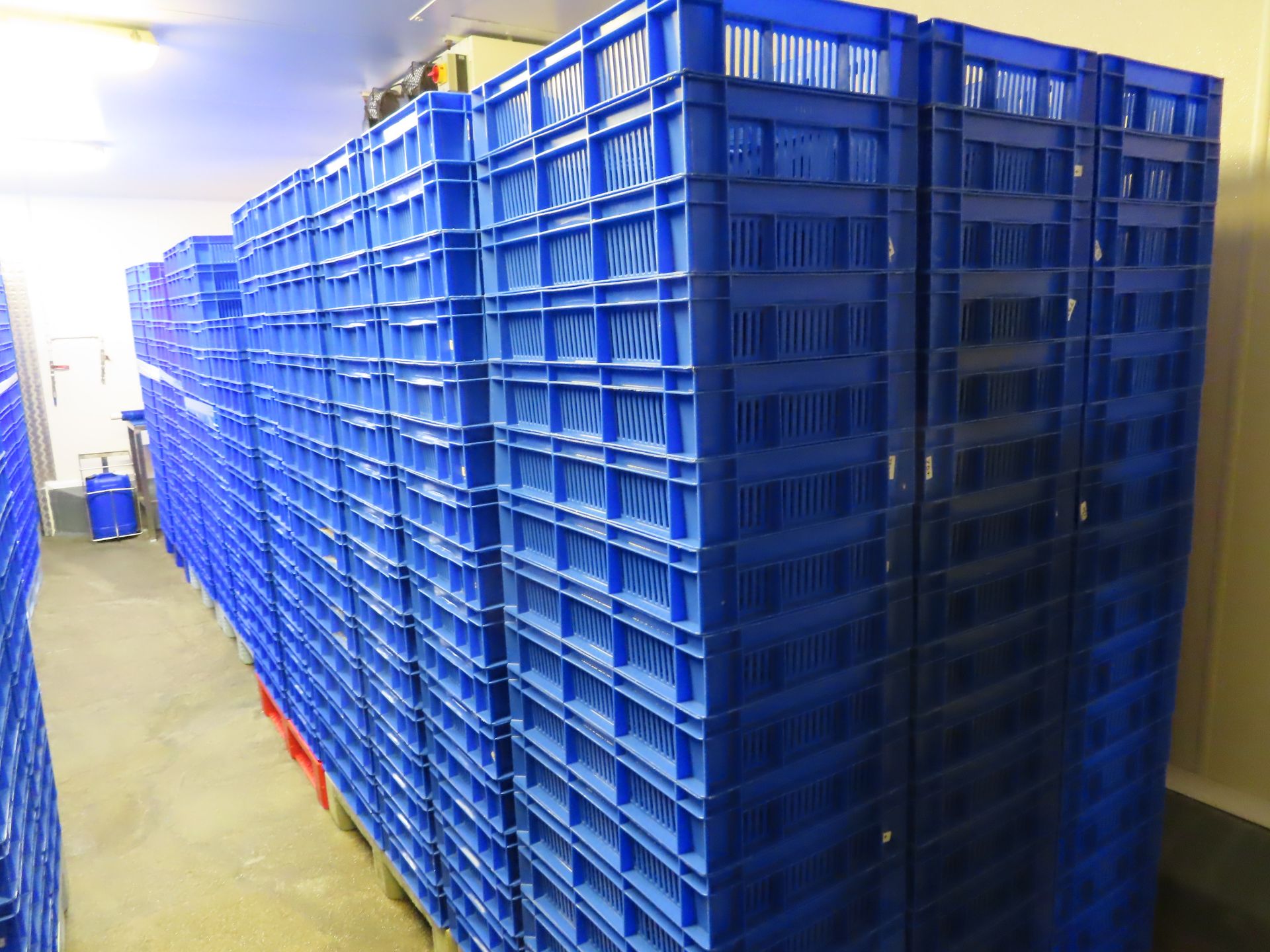 6 X PALLETS OF TRAYS (APPROX. 80 BLUE TRAYS ON EACH PALLET).