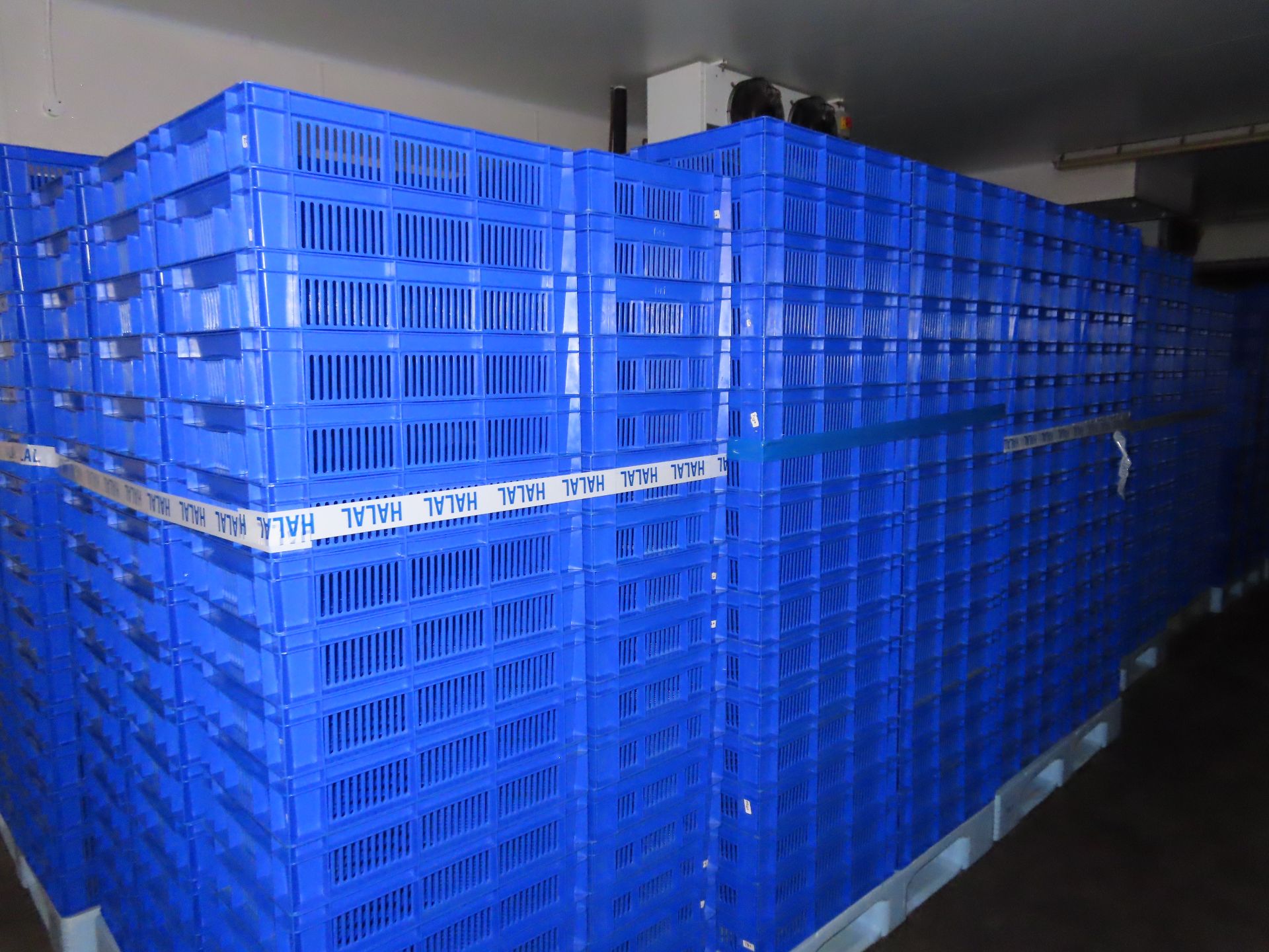 6 X PALLETS OF TRAYS (APPROX. 80 BLUE TRAYS ON EACH PALLET). - Image 6 of 6