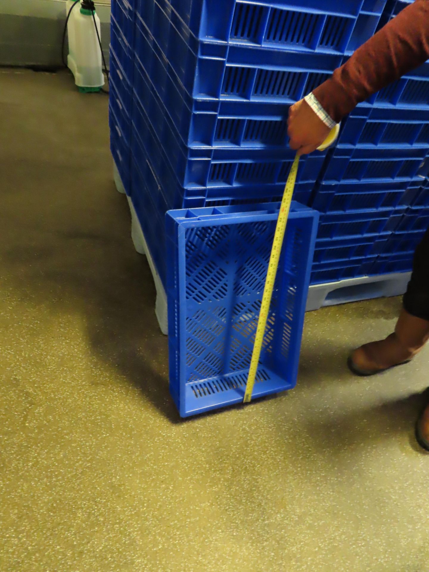 6 X PALLETS OF TRAYS (APPROX. 80 BLUE TRAYS ON EACH PALLET). - Image 2 of 6