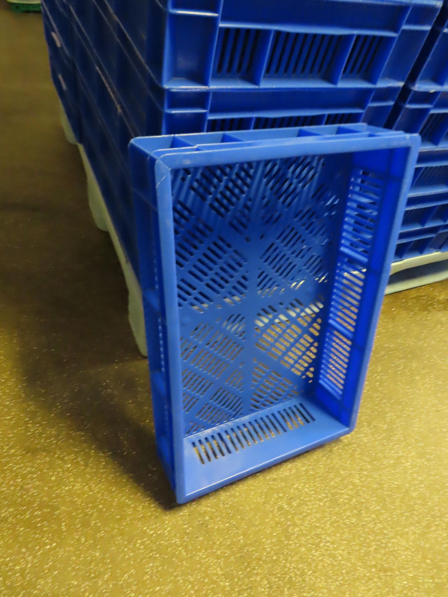 6 X PALLETS OF TRAYS (APPROX. 80 BLUE TRAYS ON EACH PALLET). - Image 3 of 5
