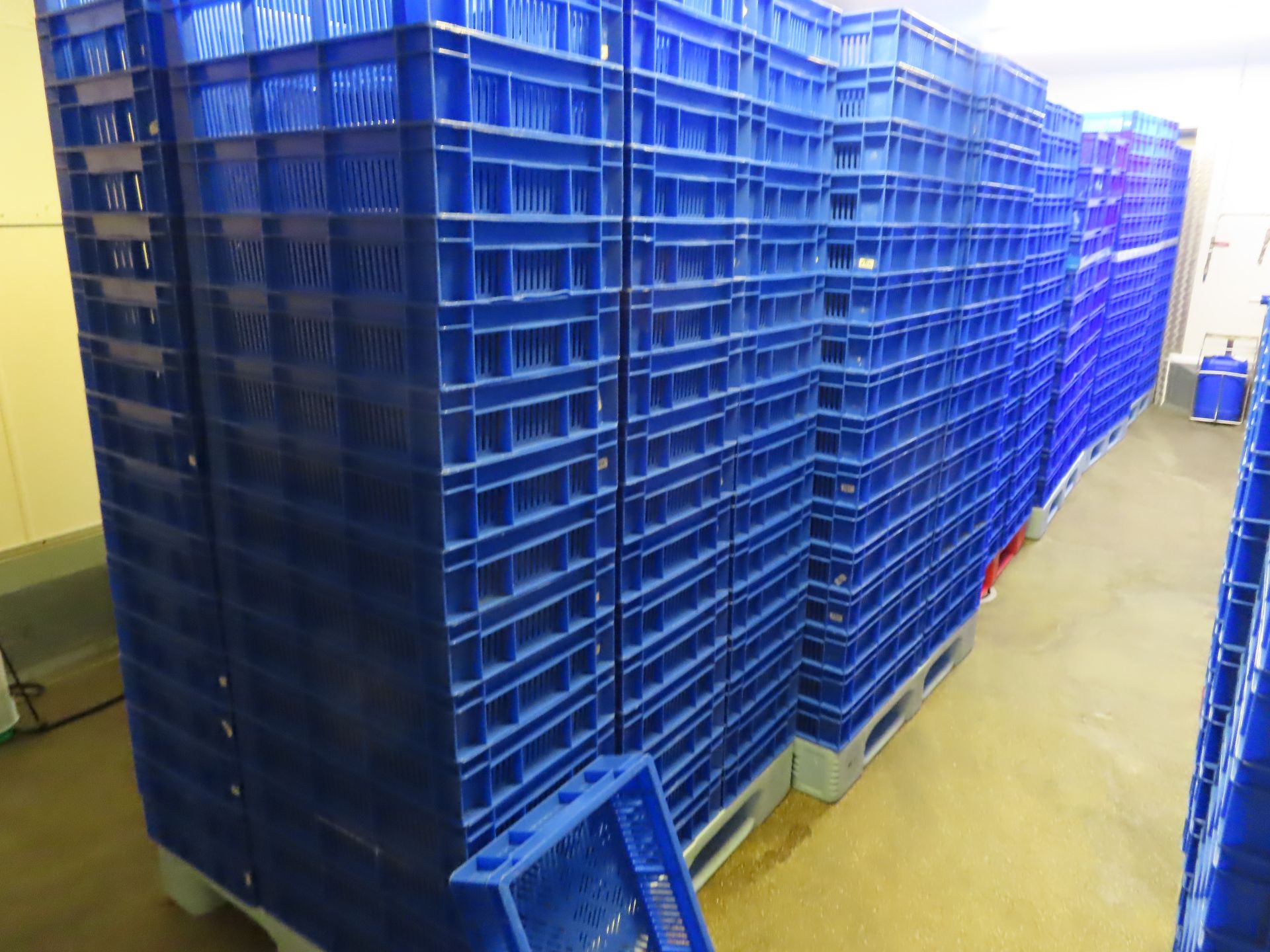 6 X PALLETS OF TRAYS (APPROX. 80 BLUE TRAYS ON EACH PALLET).