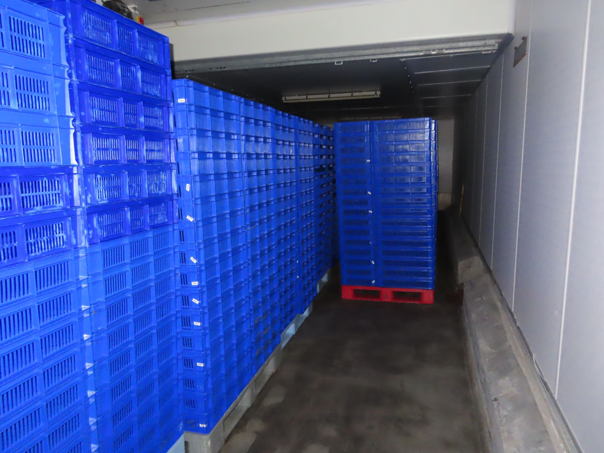 6 X PALLETS OF TRAYS (APPROX. 80 BLUE TRAYS ON EACH PALLET). - Image 5 of 5