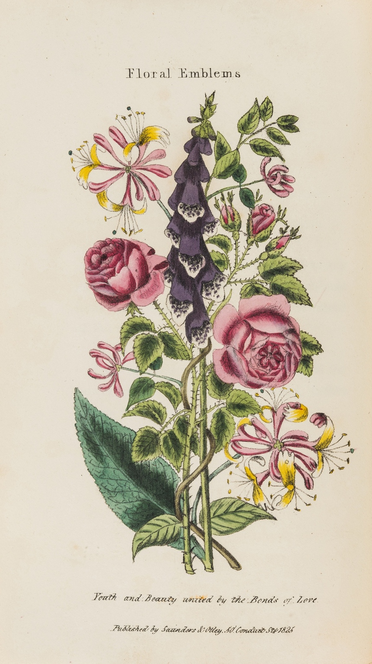 Botany.- Phillips (Henry) Floral Emblems, hand-coloured plates, 1825 & another (2)