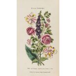 Botany.- Phillips (Henry) Floral Emblems, hand-coloured plates, 1825 & another (2)