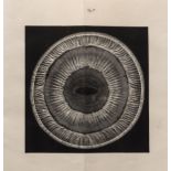 Whale's eyes.- Mayer (Dr. A.) Anatomische Untersuchungen über das. Auge der Cetaceen, Bonn, Henry …