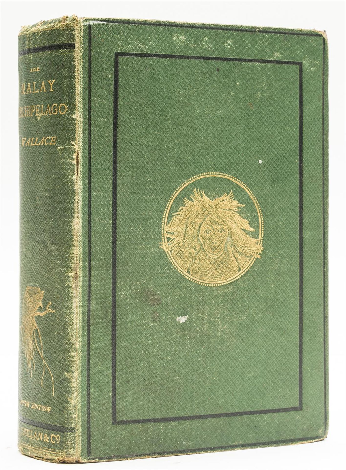 Asia Wallace Alfred Russel The Malay Archipelago fifth edition 1874