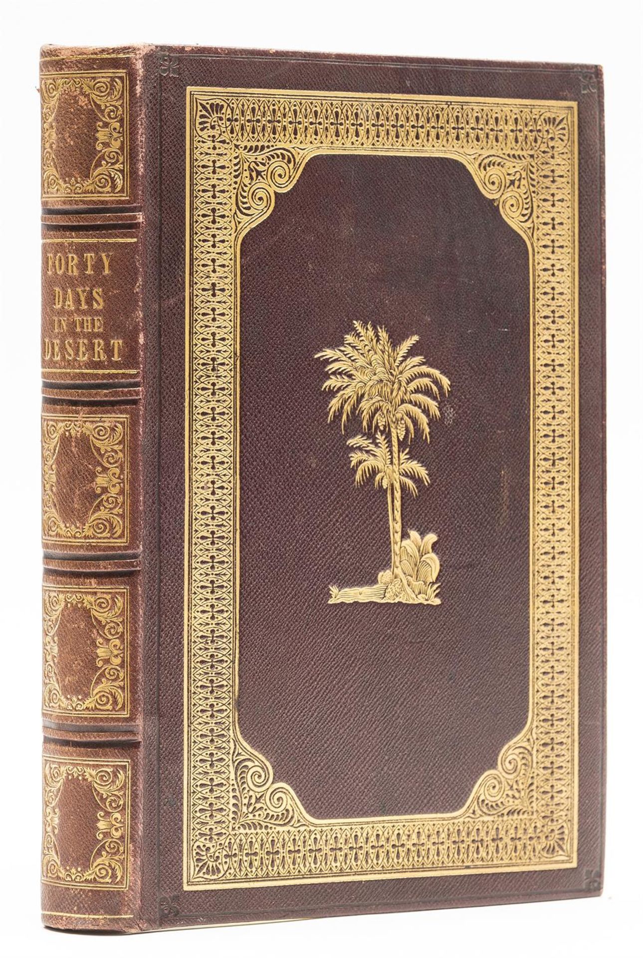 Middle East Bartlett William Henry Forty Days in the Desert on the Track of the Israelites...