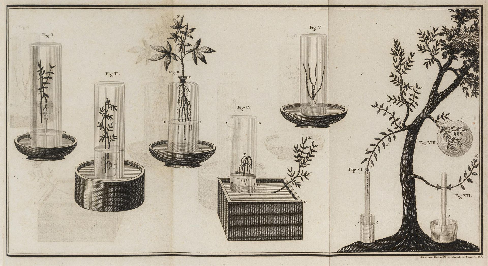 Photosynthesis Saussure Théodore de Recherches Chimiques sur la Végétation first edition...