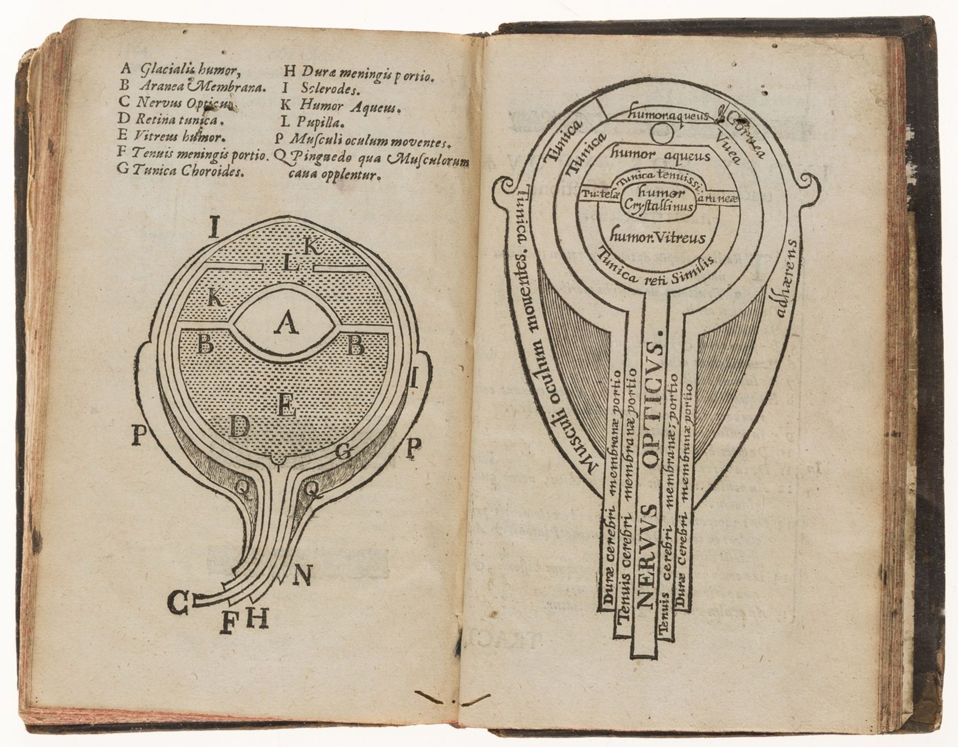 Brerewood (Edward) Tractatus duo Quorum primus est De Meteoris. Secundus de Oculo, [Oxford], …