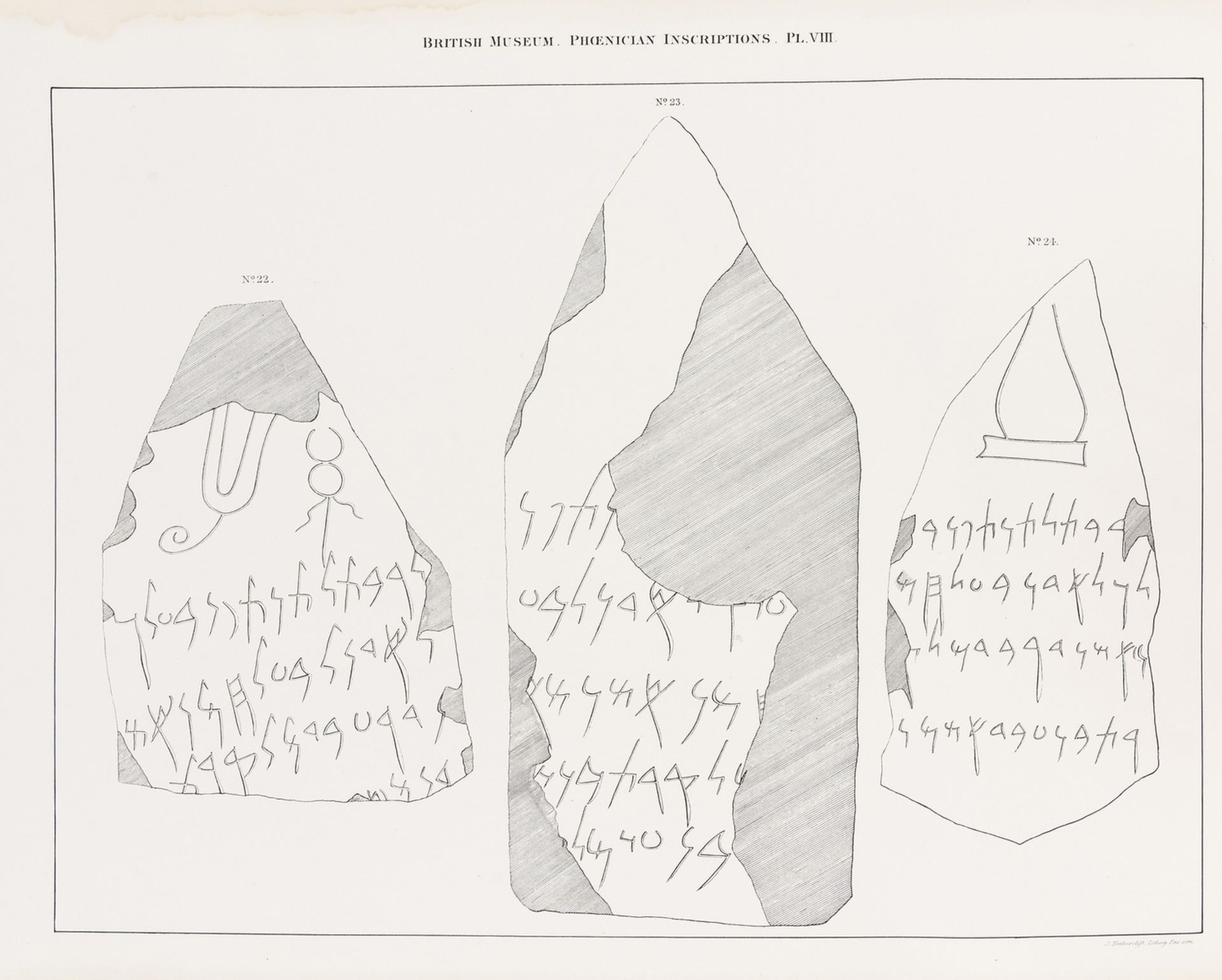 Antiquities.- Davis (Nathan) Inscriptions in the Phoenician Character...discovered on the site of …