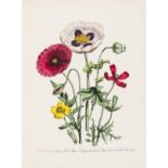Botany.- Loudon (Jane) British Wild Flowers, second edition, [1849].