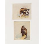 Birds.- Thorburn (Archibald) A Naturalist's Sketch Book, number 24 of 105 copies, 1919.