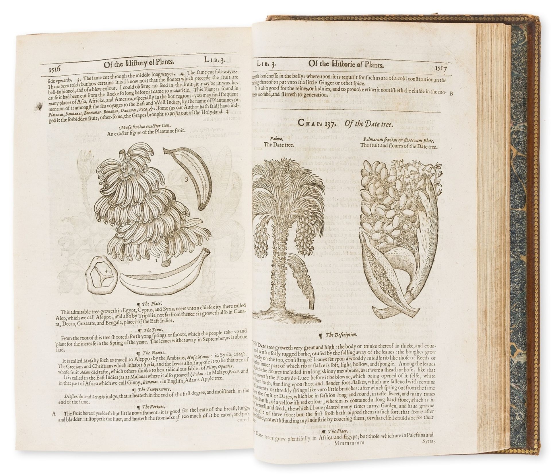 Gerard (John) The Herball or Generall Historie of Plantes, second edition, Printed by Adam Islip, …