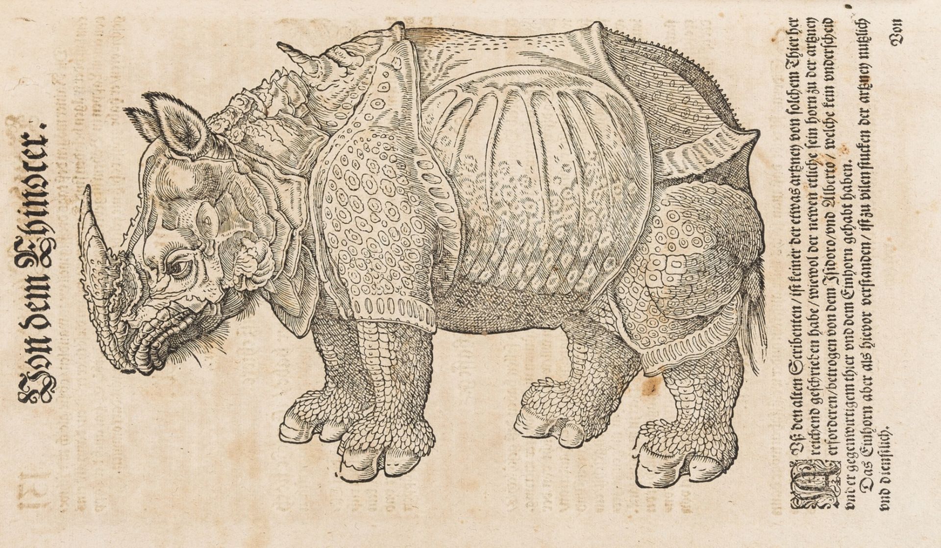 Zoology.- Quadrupeds.- Gesner (Konrad) Thierbuch; das ist, ausfuhrliche Beschreibung...aller …