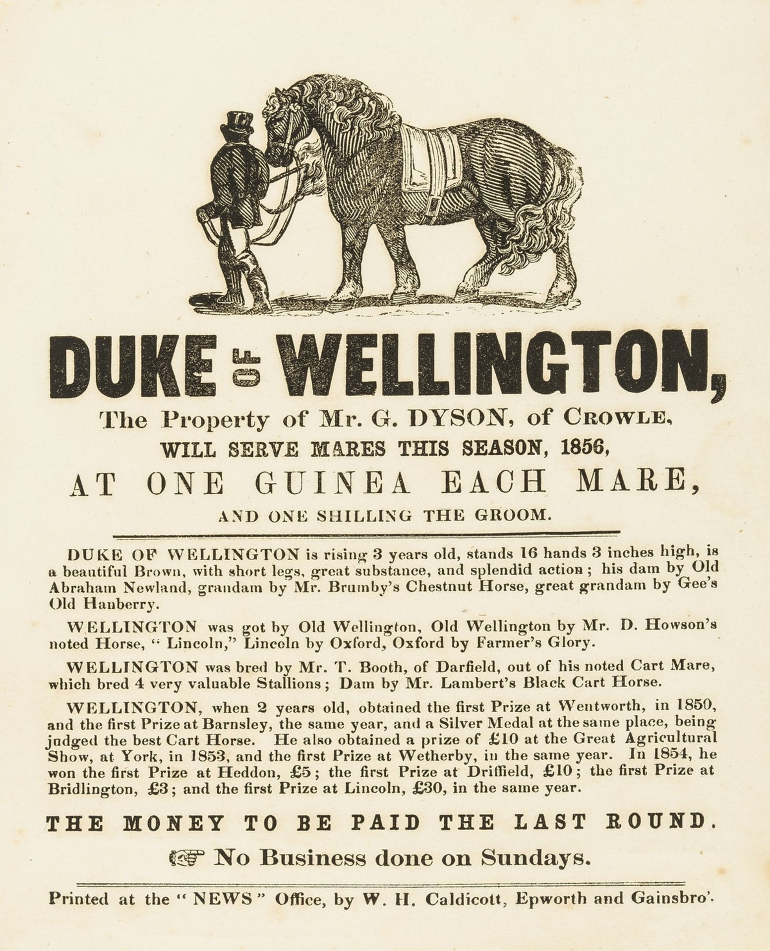 Broadside.- Horses.- Duke of Wellington, the property of Mr. G. Dyson, of Crowle, will serve mares …