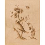 India.- Indo-Persian School (probably 19th century) Study of two birds, brown ink, [probably late …