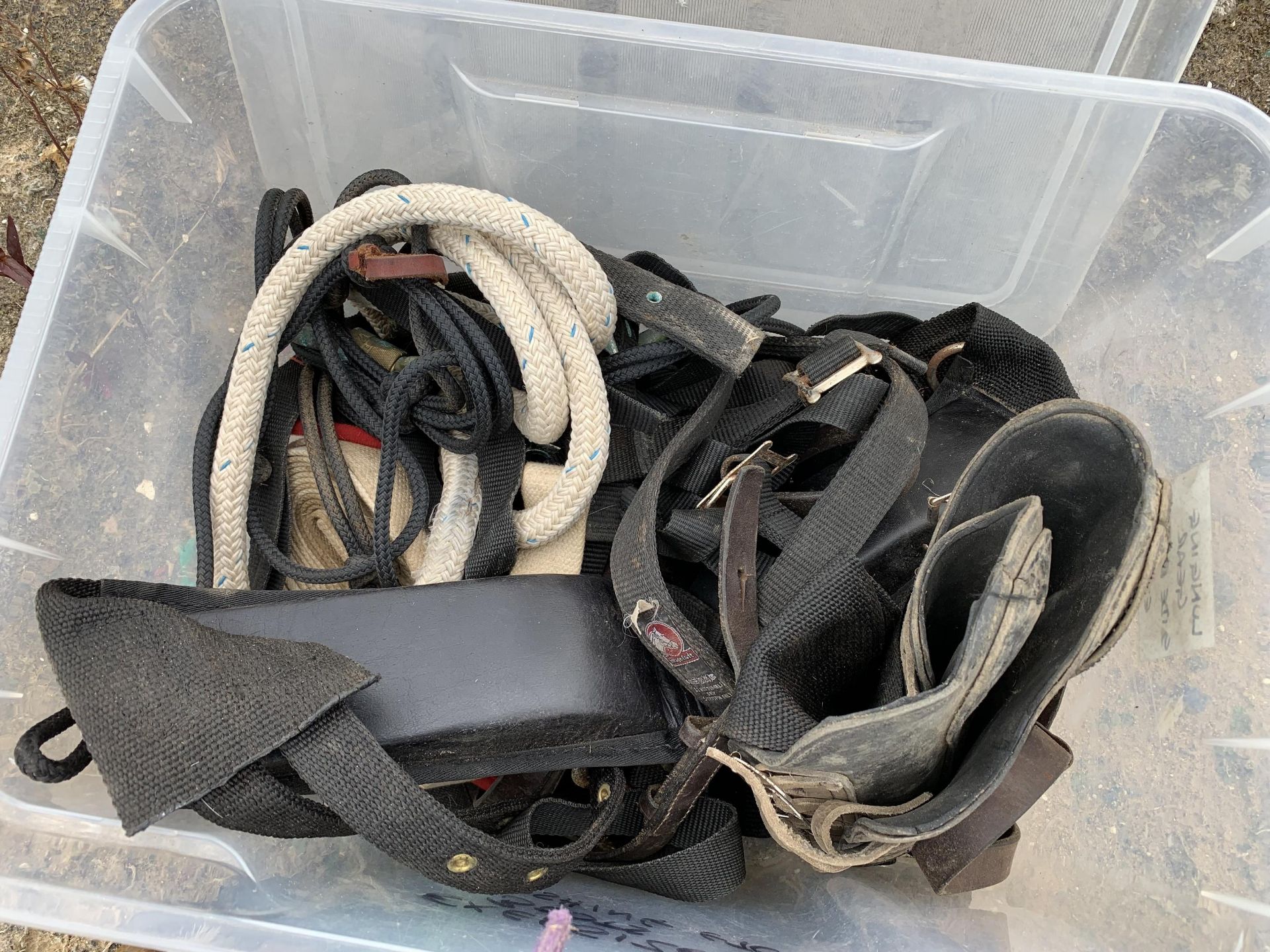 Various equestrian equipment - Image 2 of 2