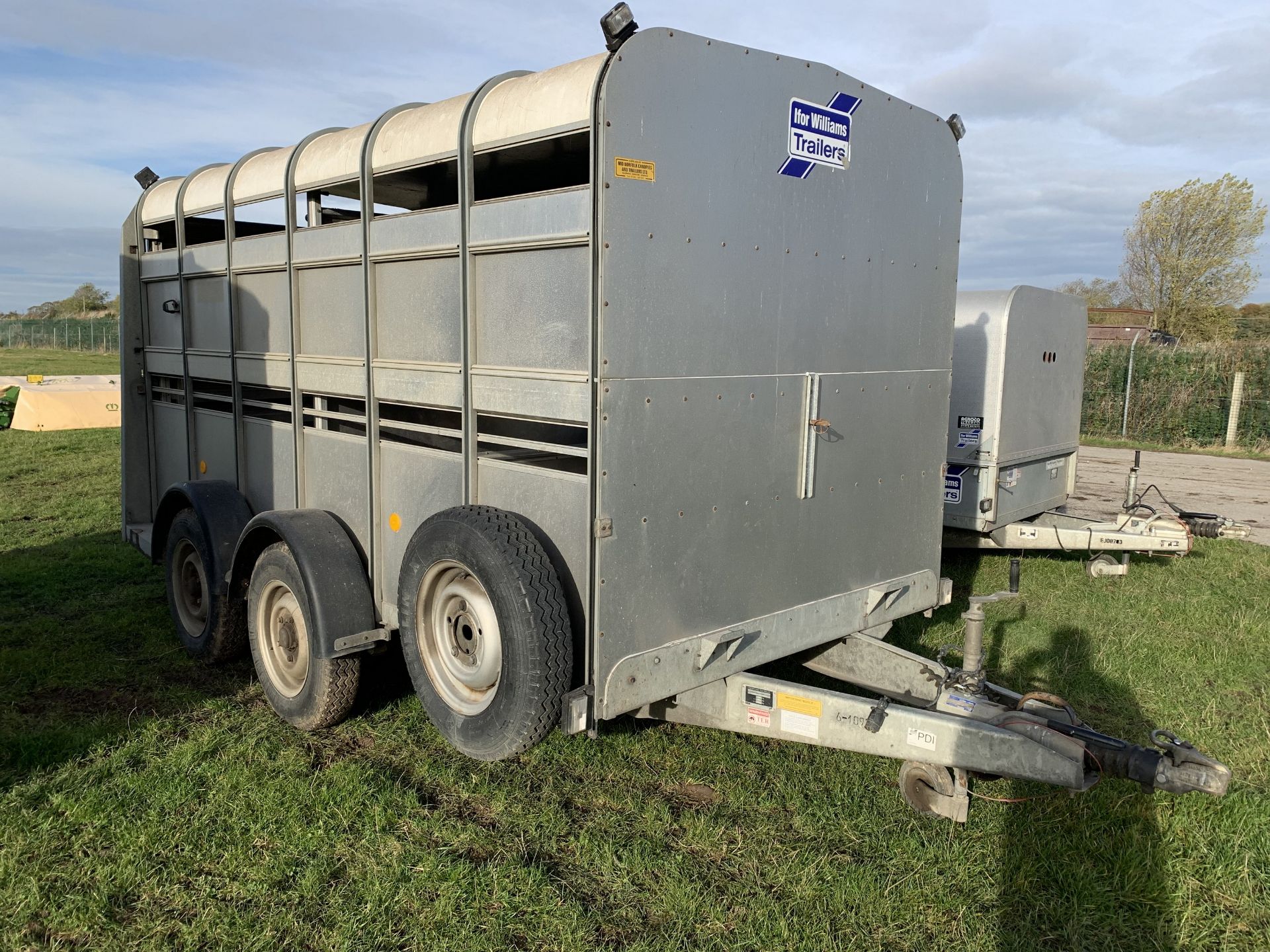 +VAT Ifor Williams TA510G 12' livestock trailer, wit solid cattle gate, with hitch key - Image 5 of 5
