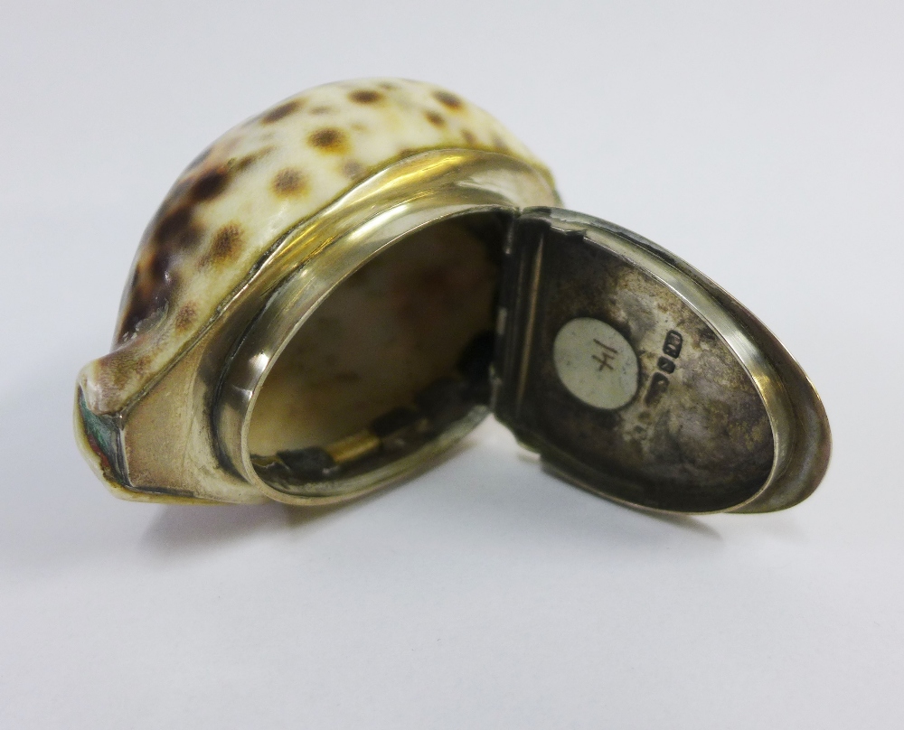 19th century Scottish provincial silver mounted cowrie shell snuff box, Peter Gill & Son, - Image 3 of 4