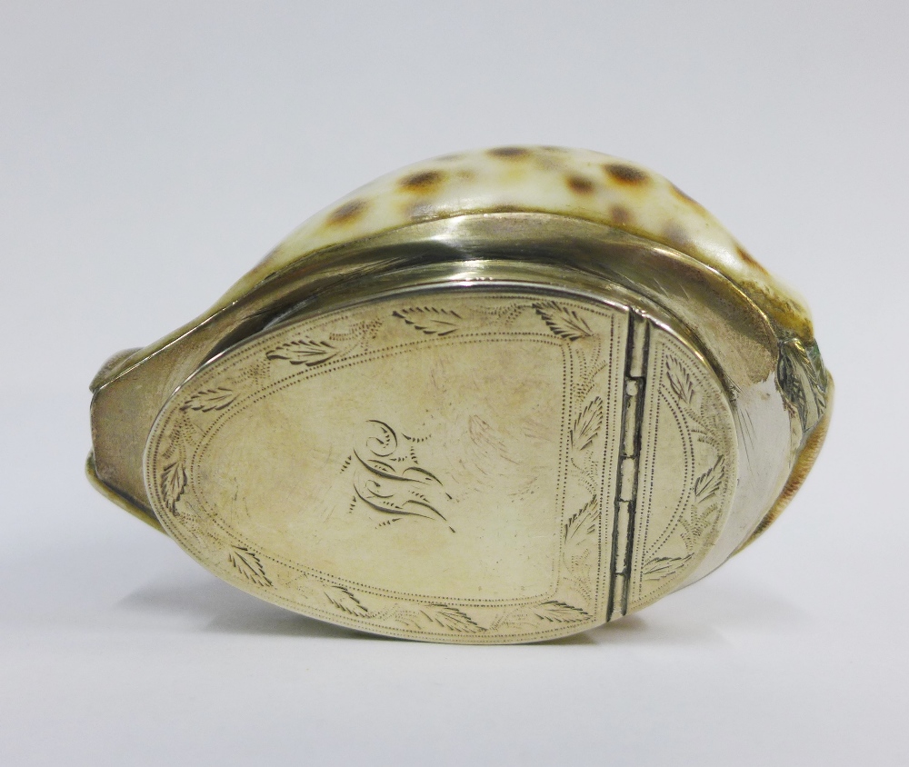 19th century Scottish provincial silver mounted cowrie shell snuff box, Peter Gill & Son, - Image 2 of 4