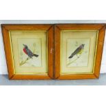 A pair of bird feather collage, each in a glazed frame, size overall 16 x 21cm (2)