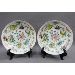 A pair of Chinese dishes with butterfly, insects and birds pattern, with a red seal mark to the